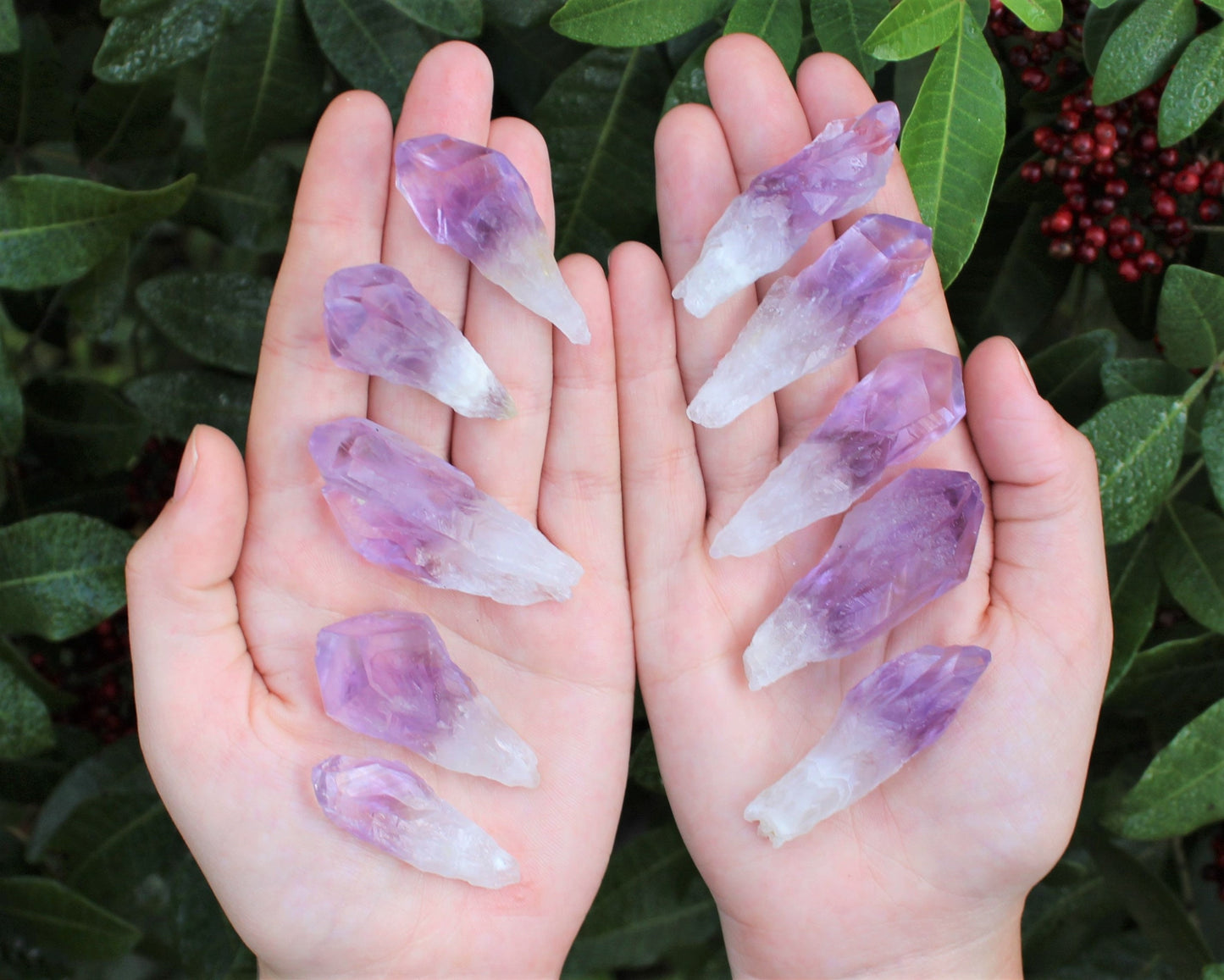 Premium Amethyst Points