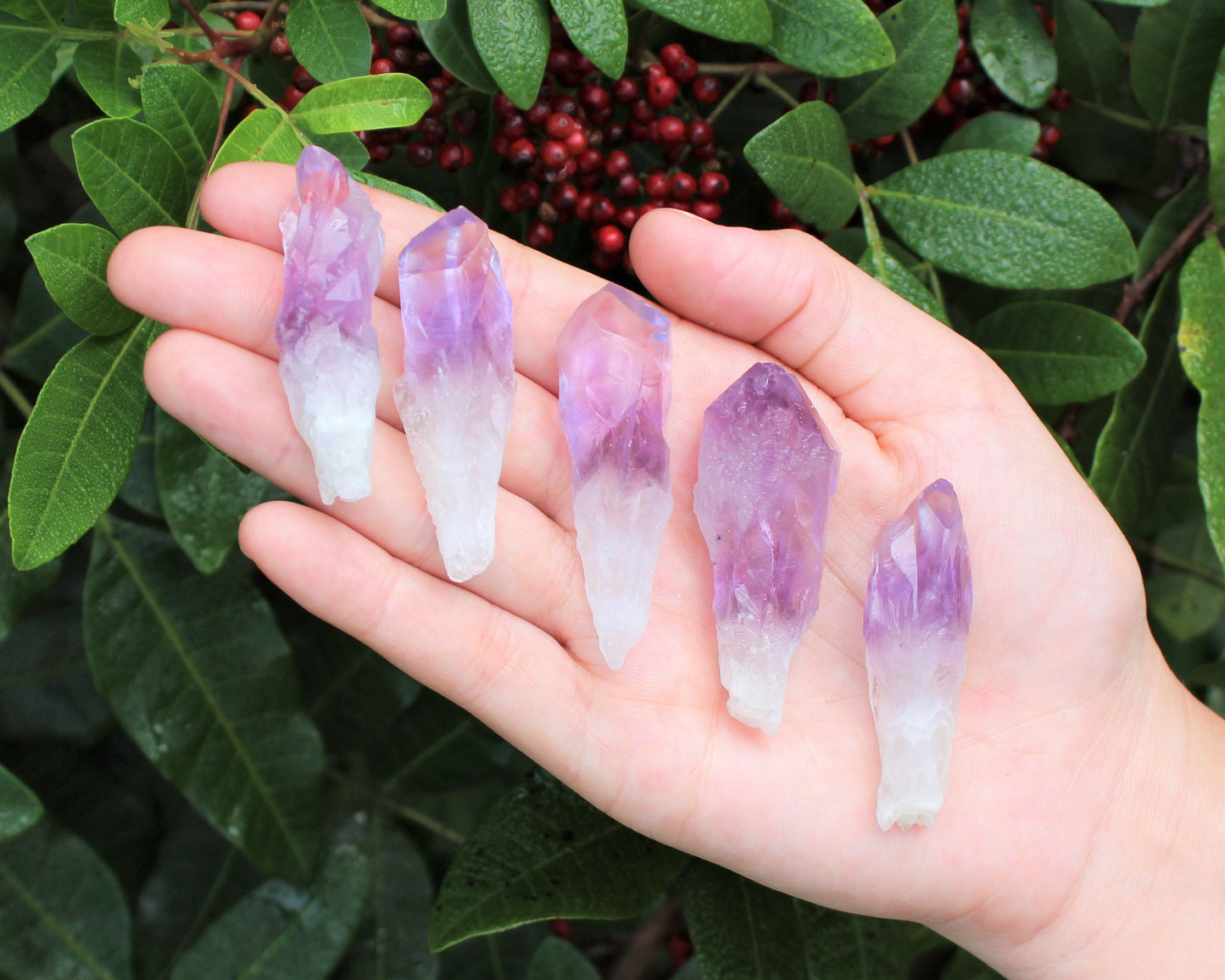 Premium Amethyst Points