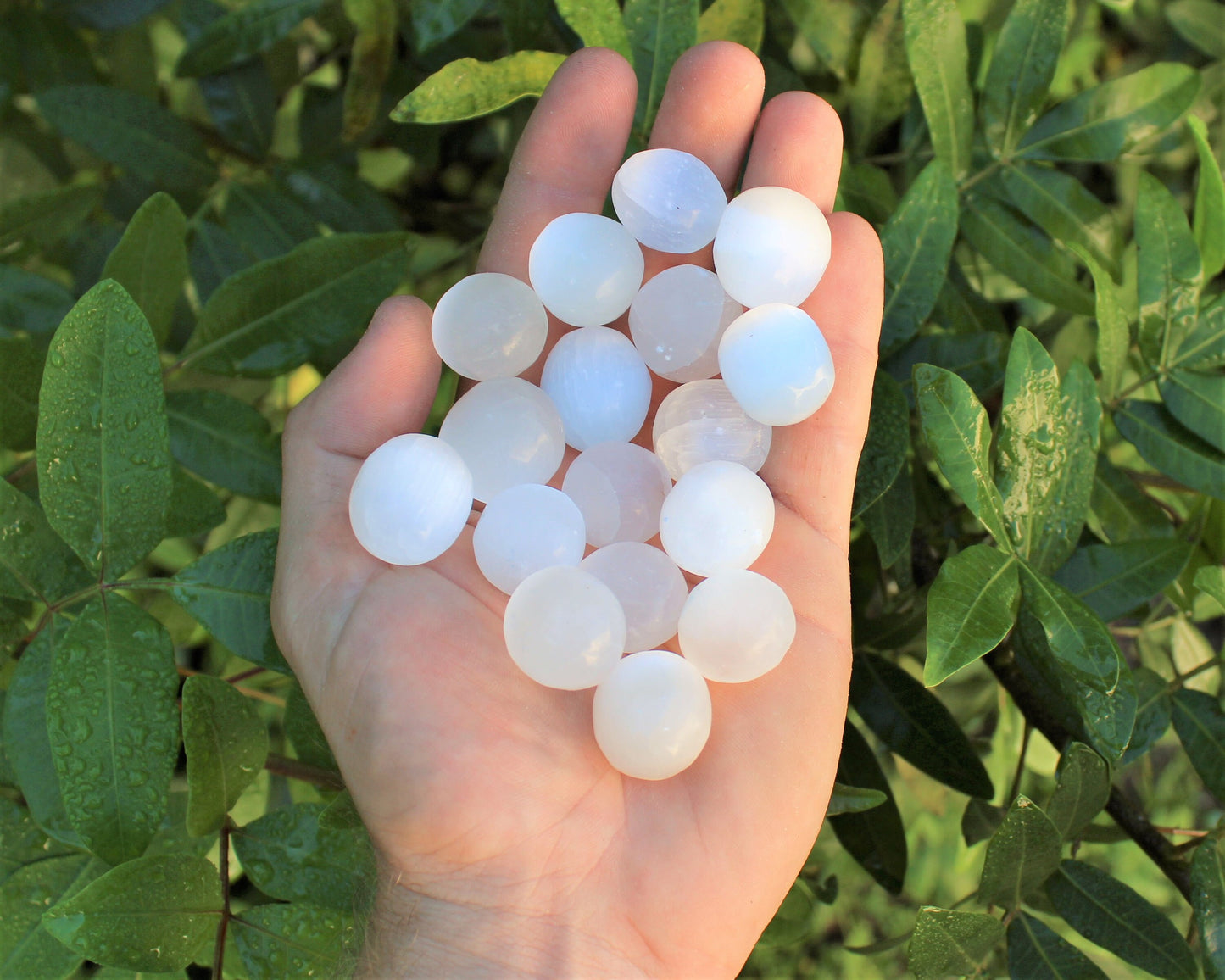 Selenite Tumbled Stones