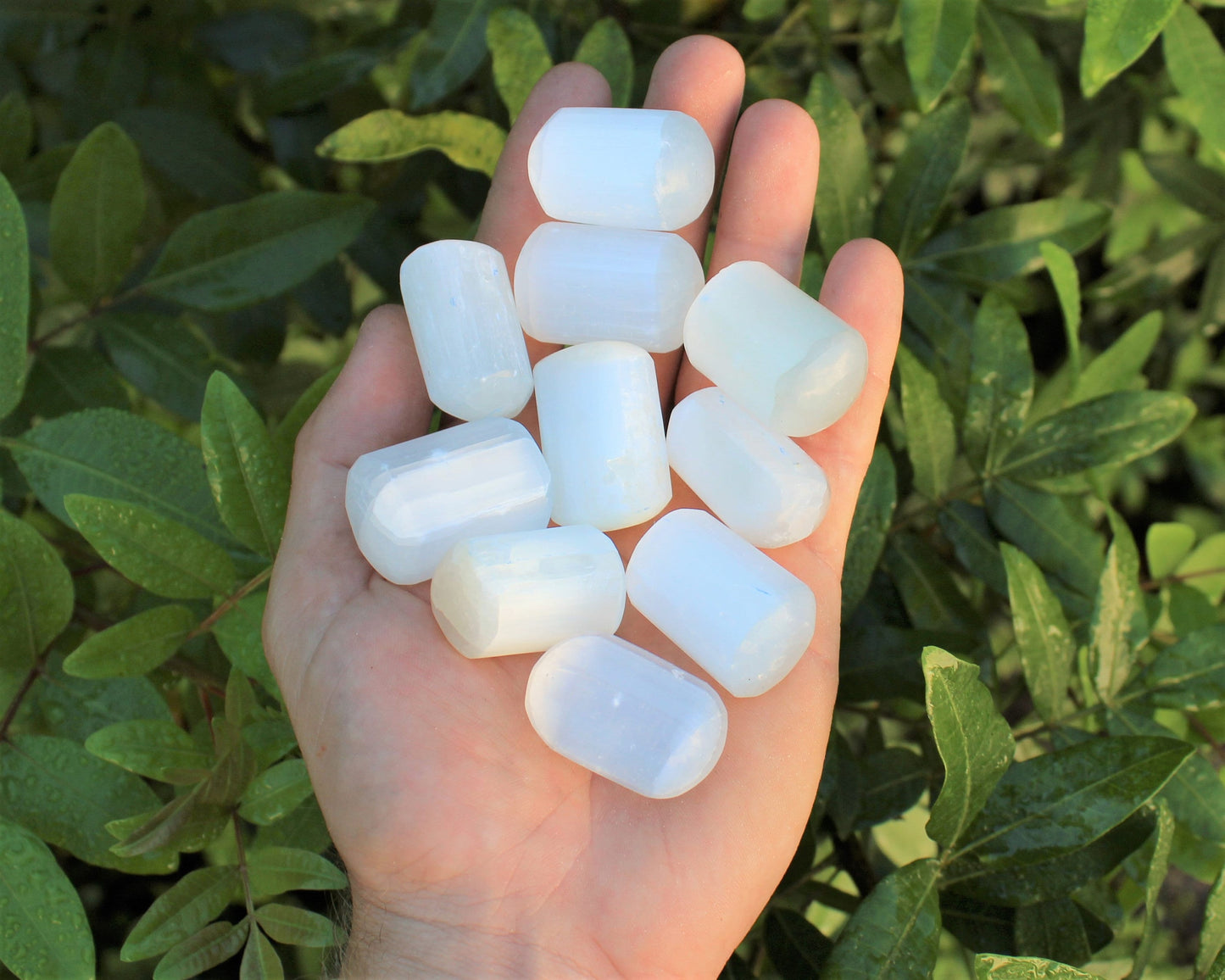 Selenite Tumbled Stones