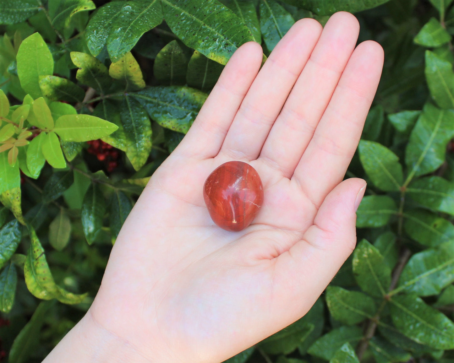Premium Jasper Tumbled Stones