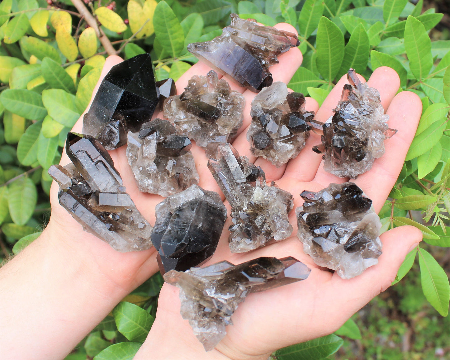 Quartz Crystal Cluster