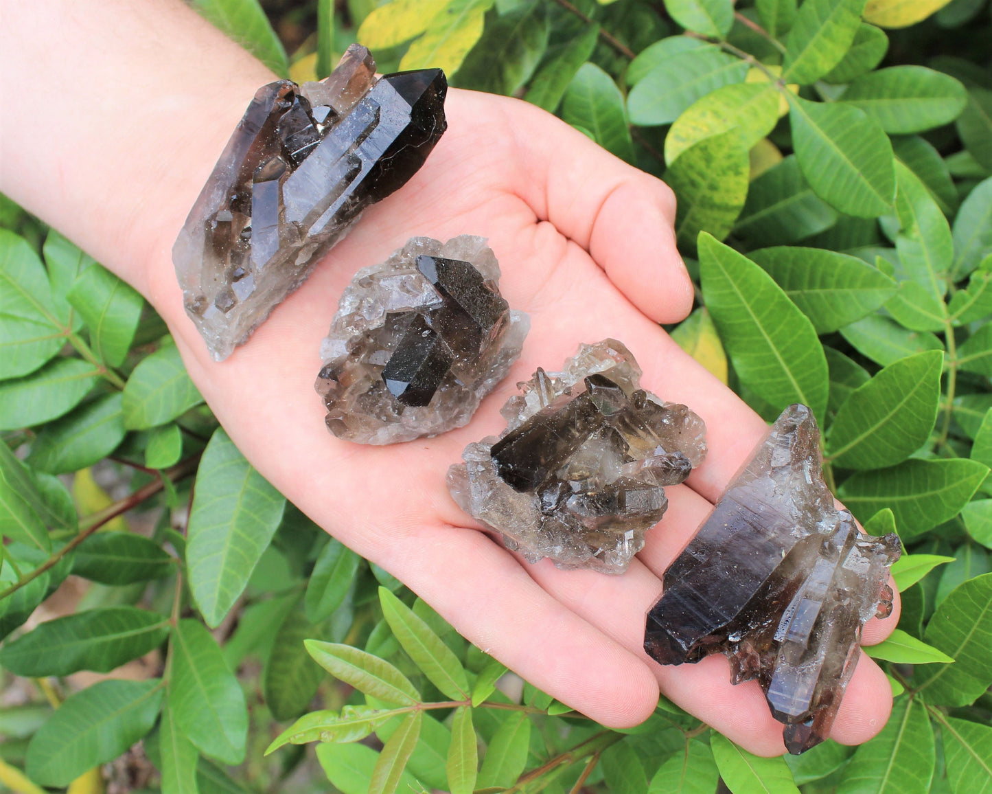 Quartz Crystal Cluster