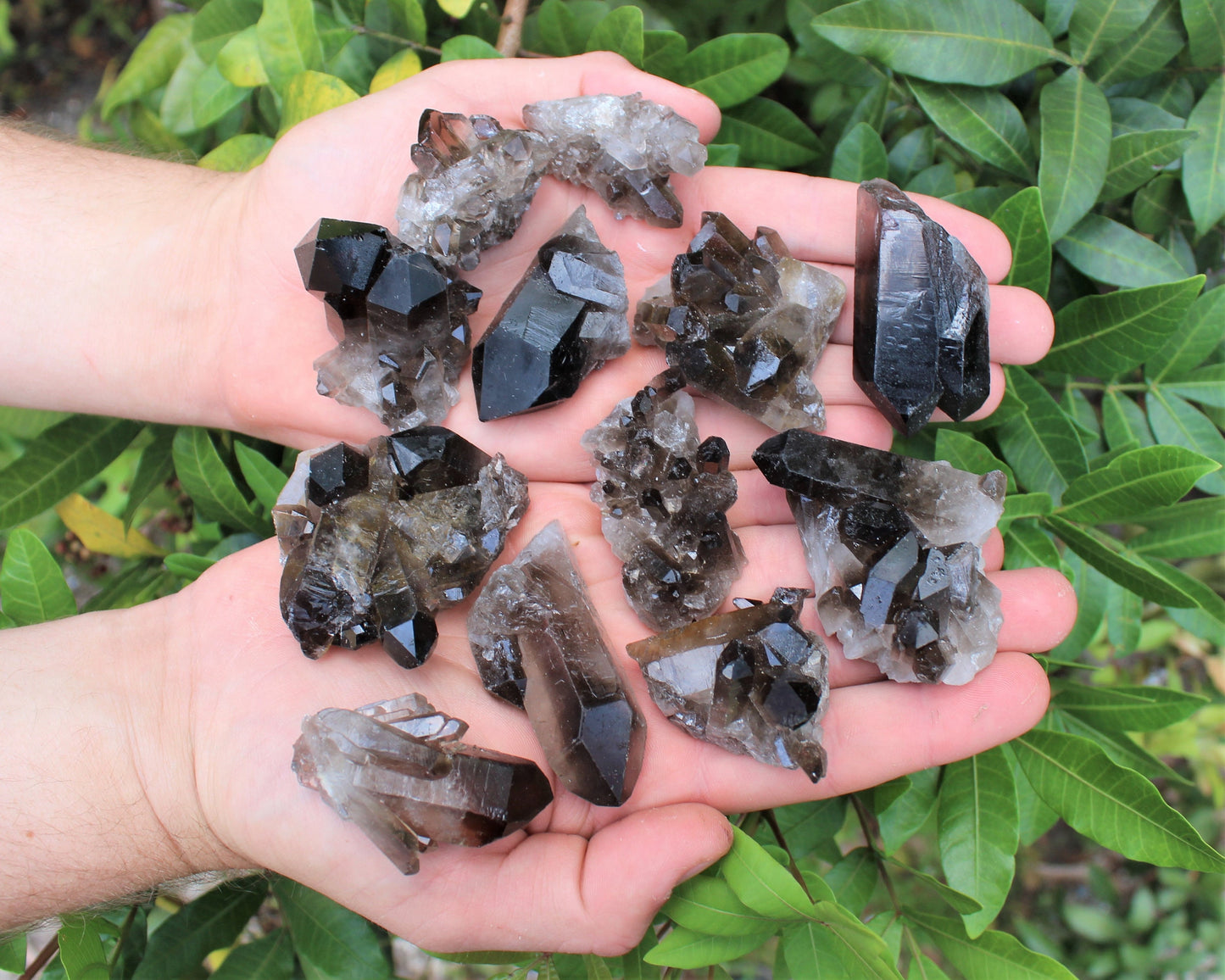 Quartz Crystal Cluster