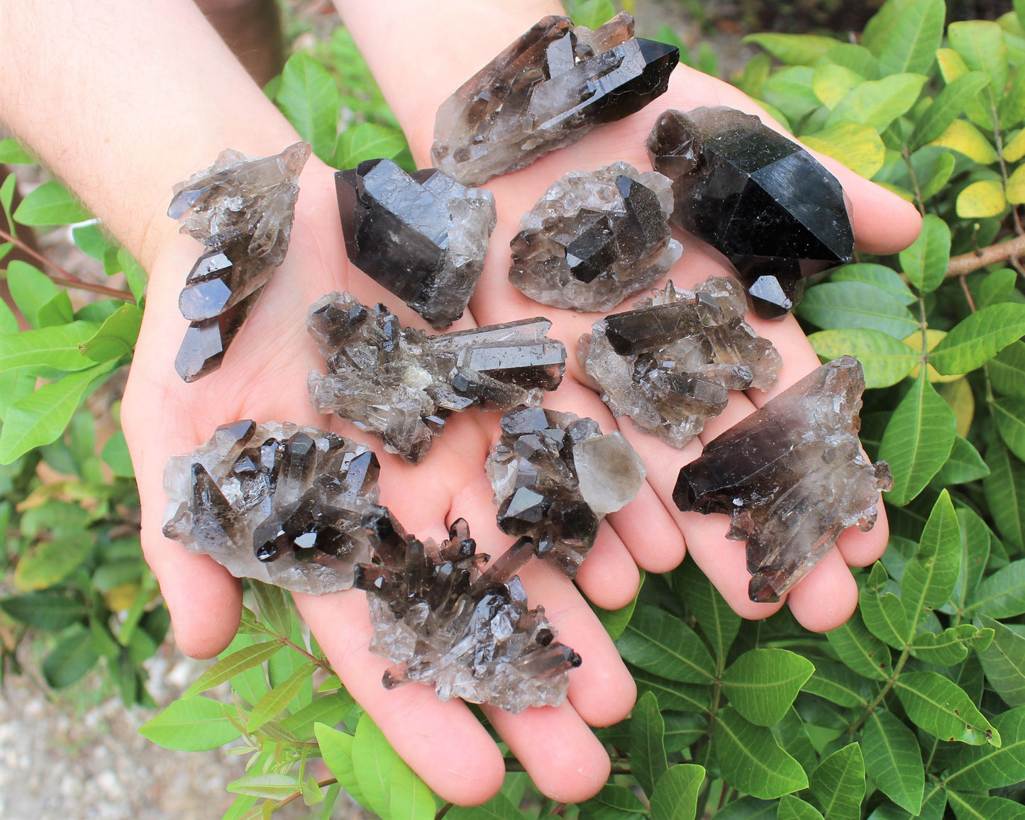 Quartz Crystal Cluster