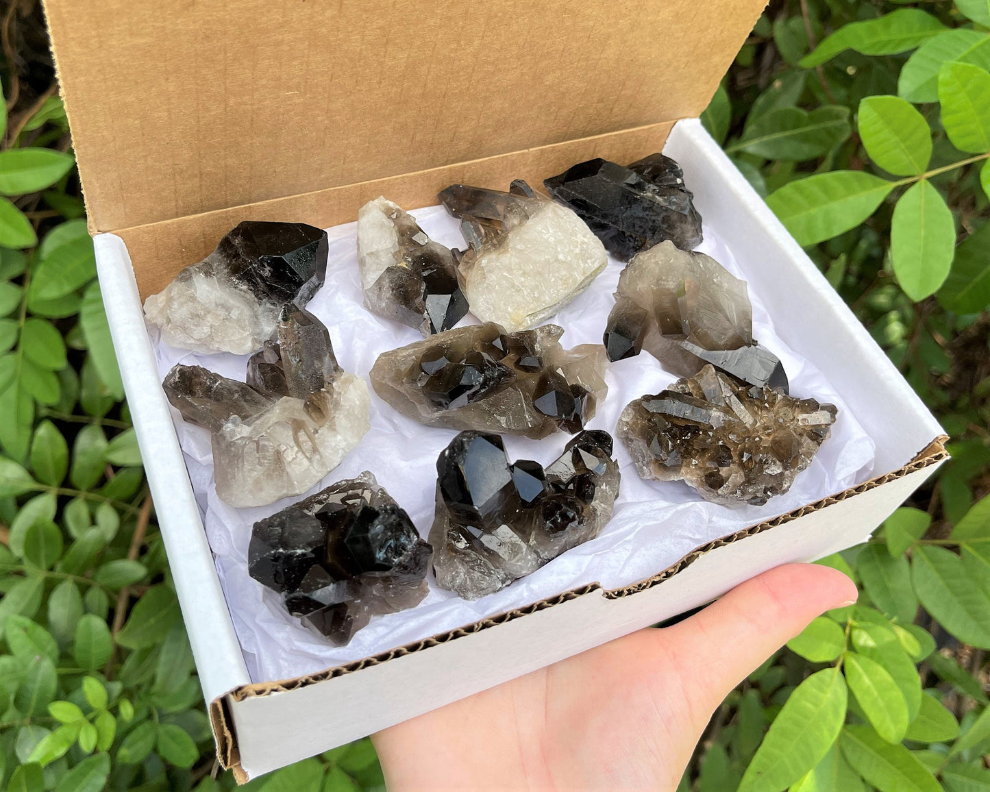 Quartz Crystal Cluster