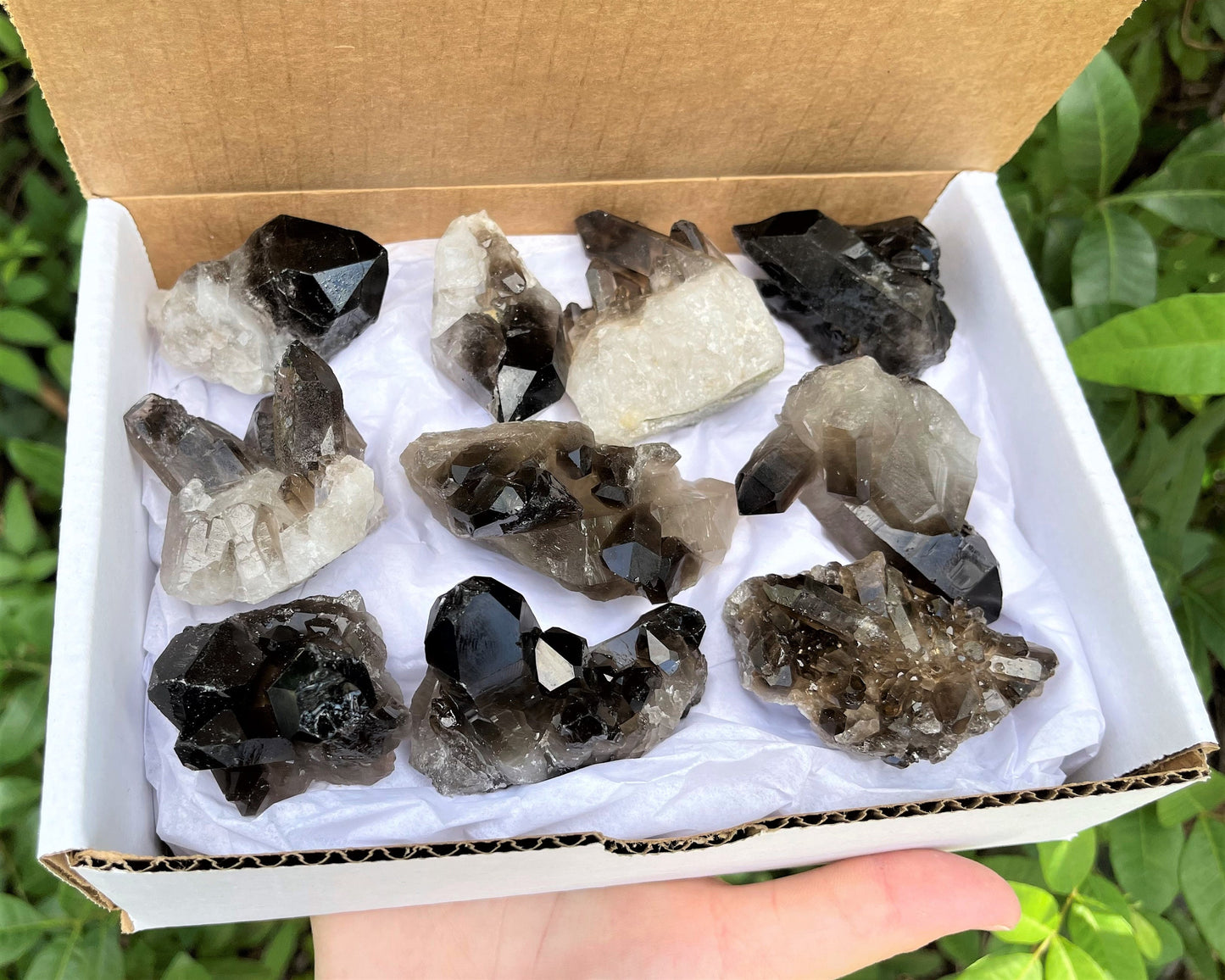 Quartz Crystal Cluster