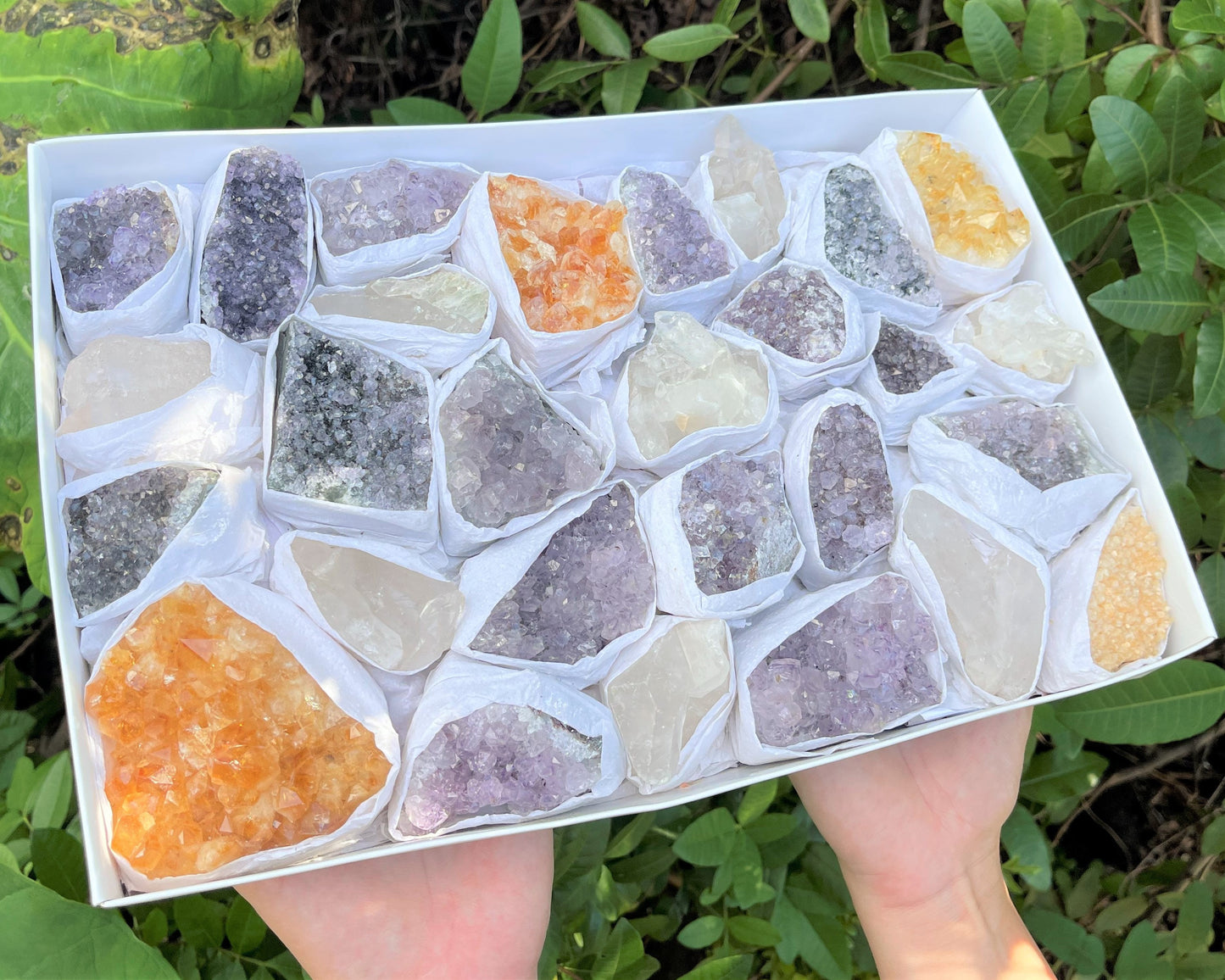 Quartz Crystal Clusters Box