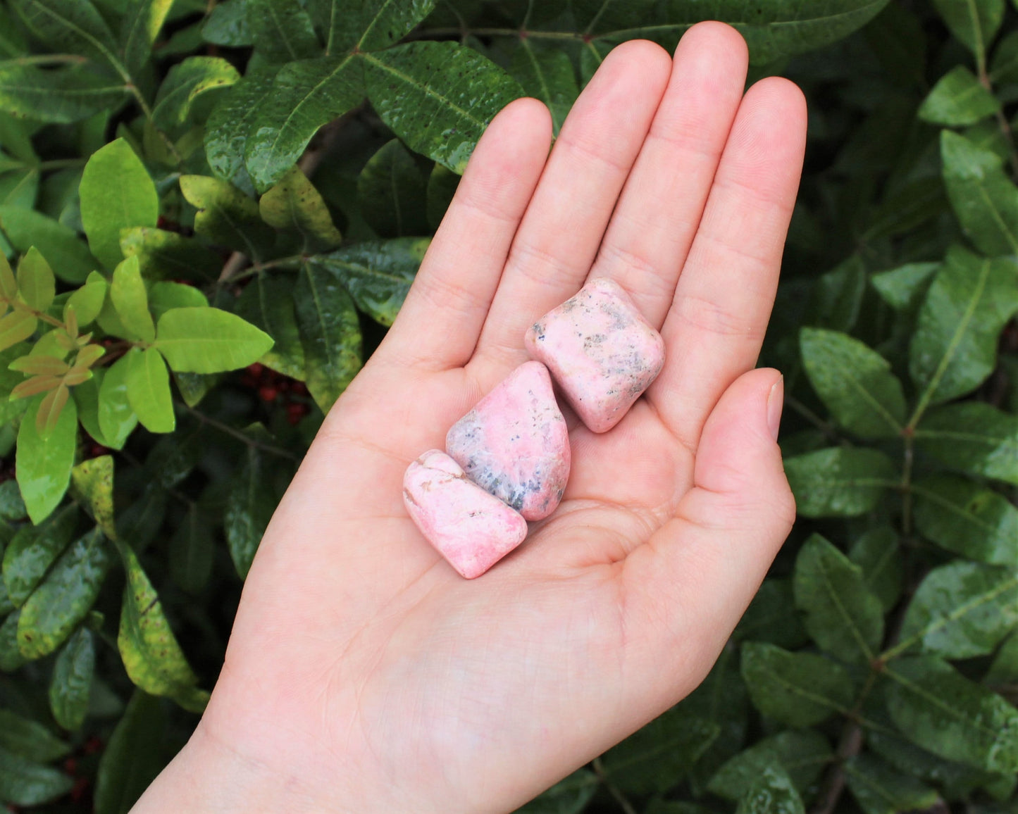 Rhodonite Tumbled Stones
