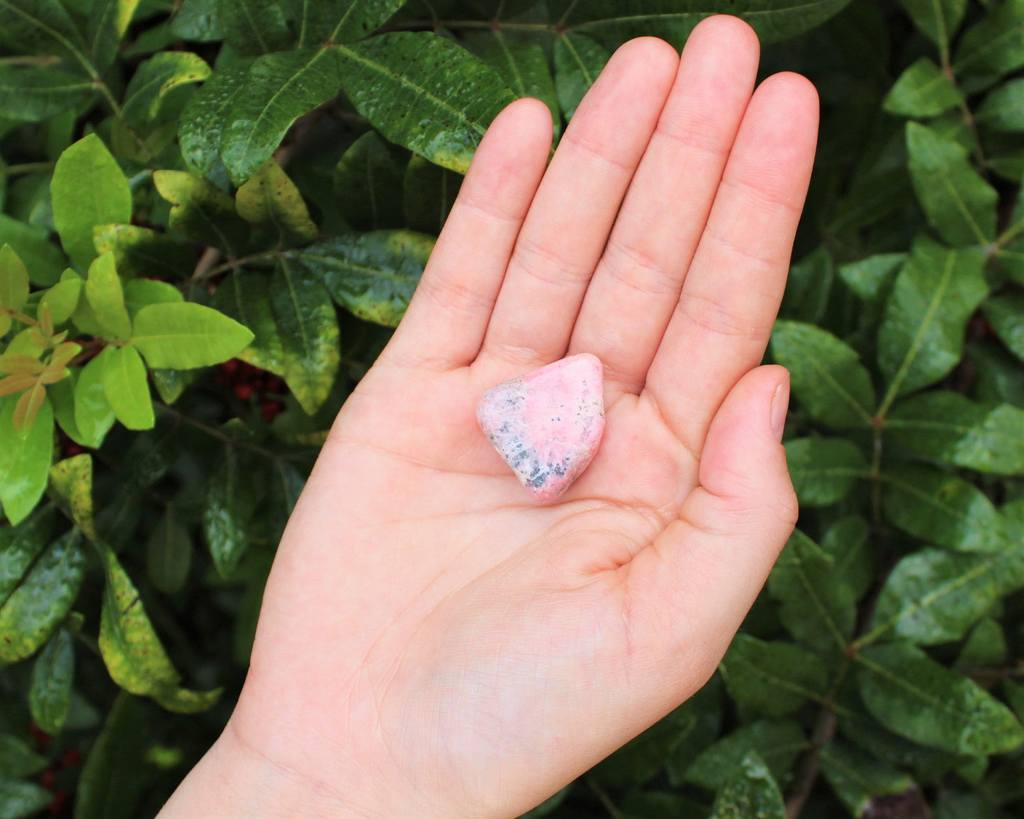 Rhodonite Tumbled Stones