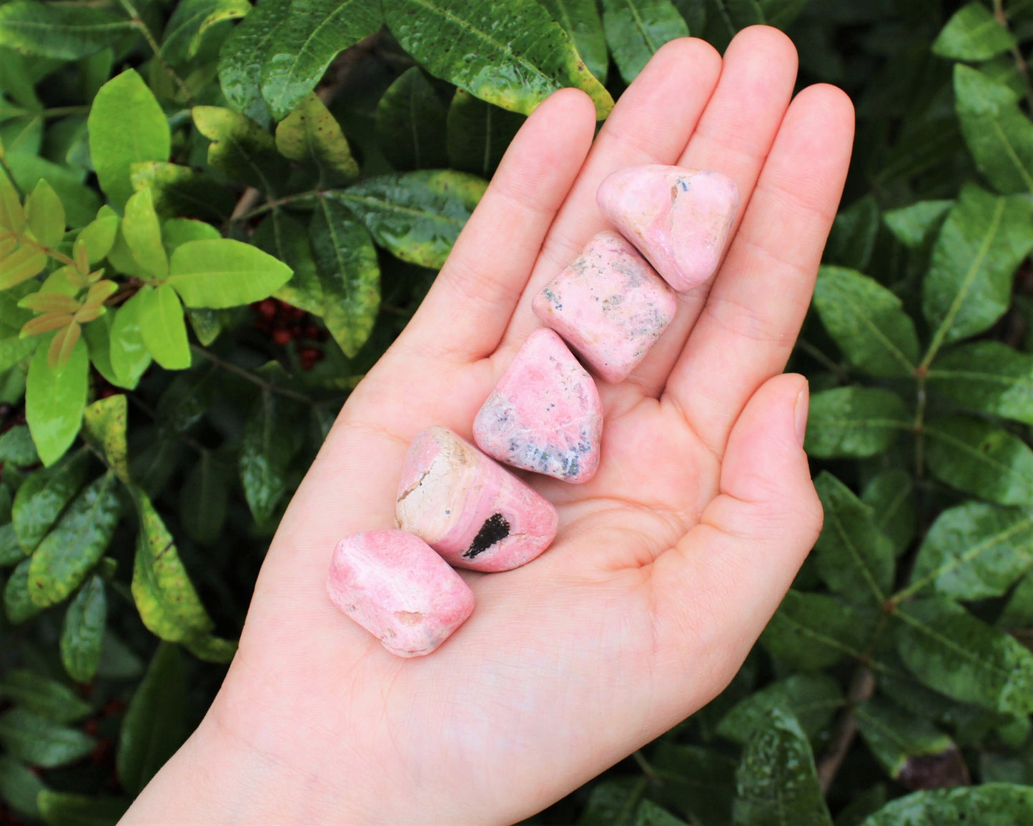 Rhodonite Tumbled Stones