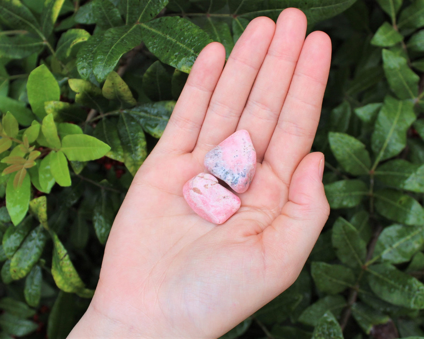 Rhodonite Tumbled Stones