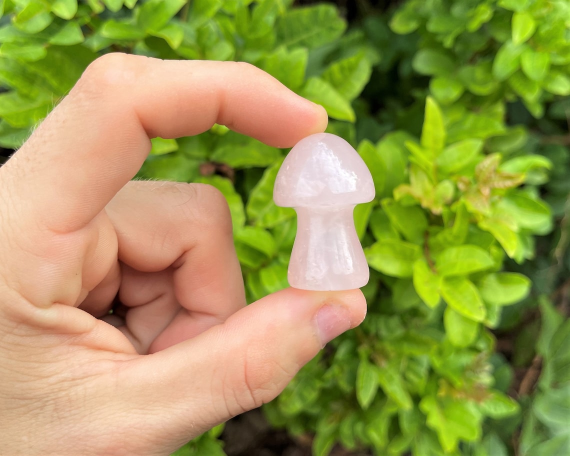Rose Quartz Crystal Mushrooms