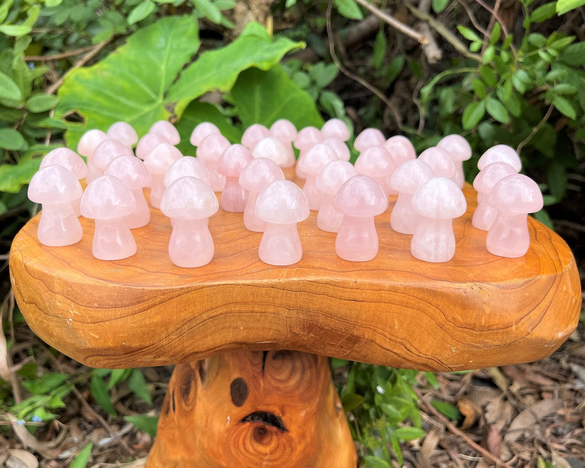 Rose Quartz Crystal Mushrooms