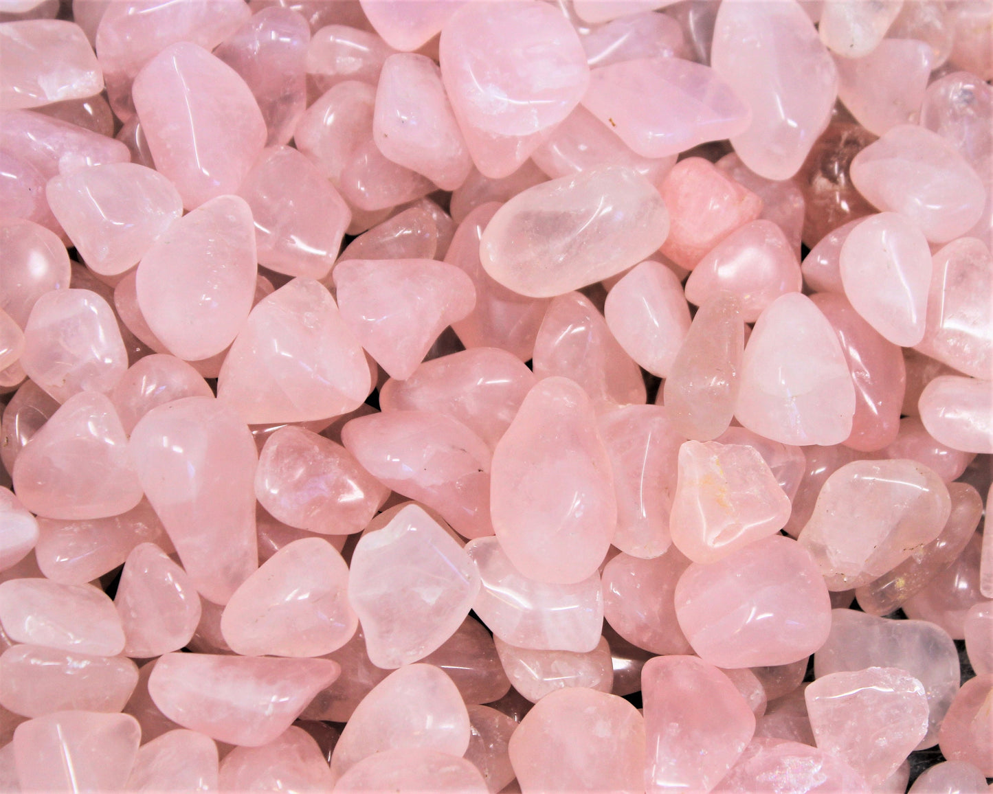 Rose Quartz Tumbled Stones