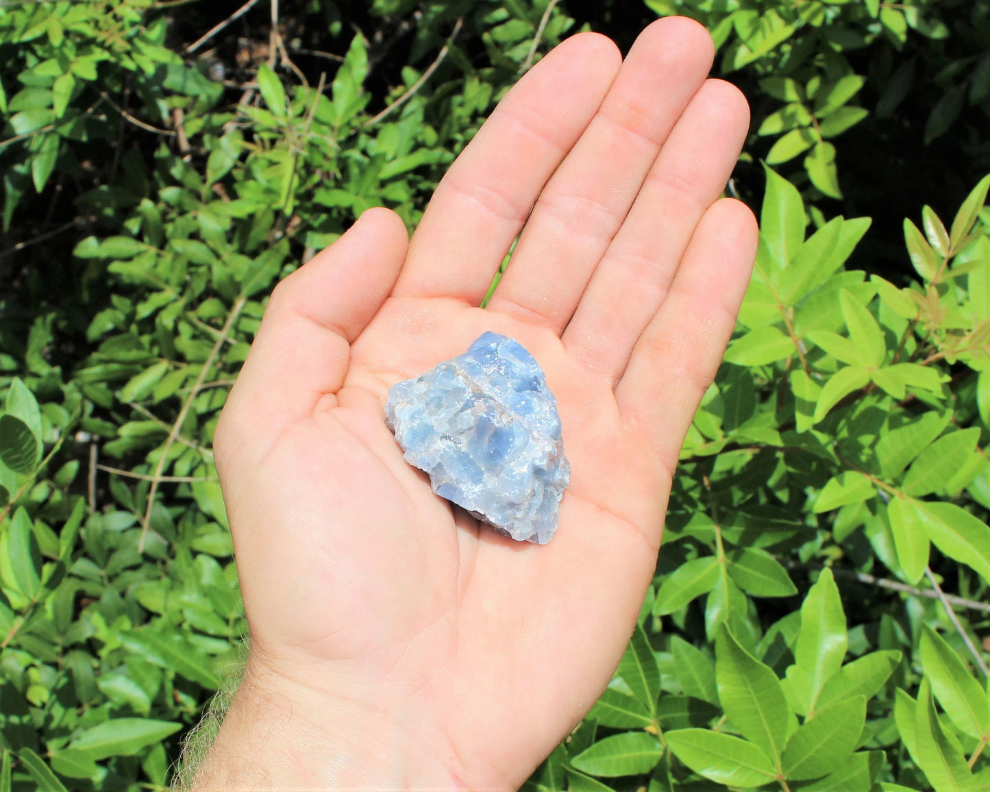 Rough Calcite Set Of 6 Crystals