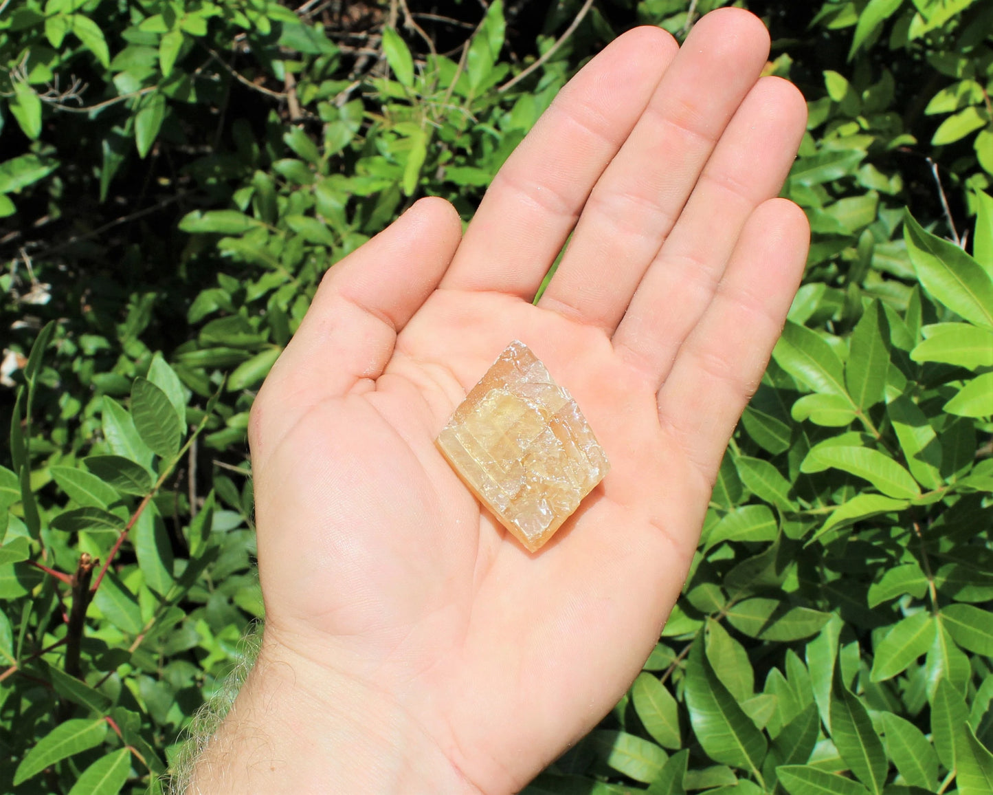 Rough Calcite Set Of 6 Crystals