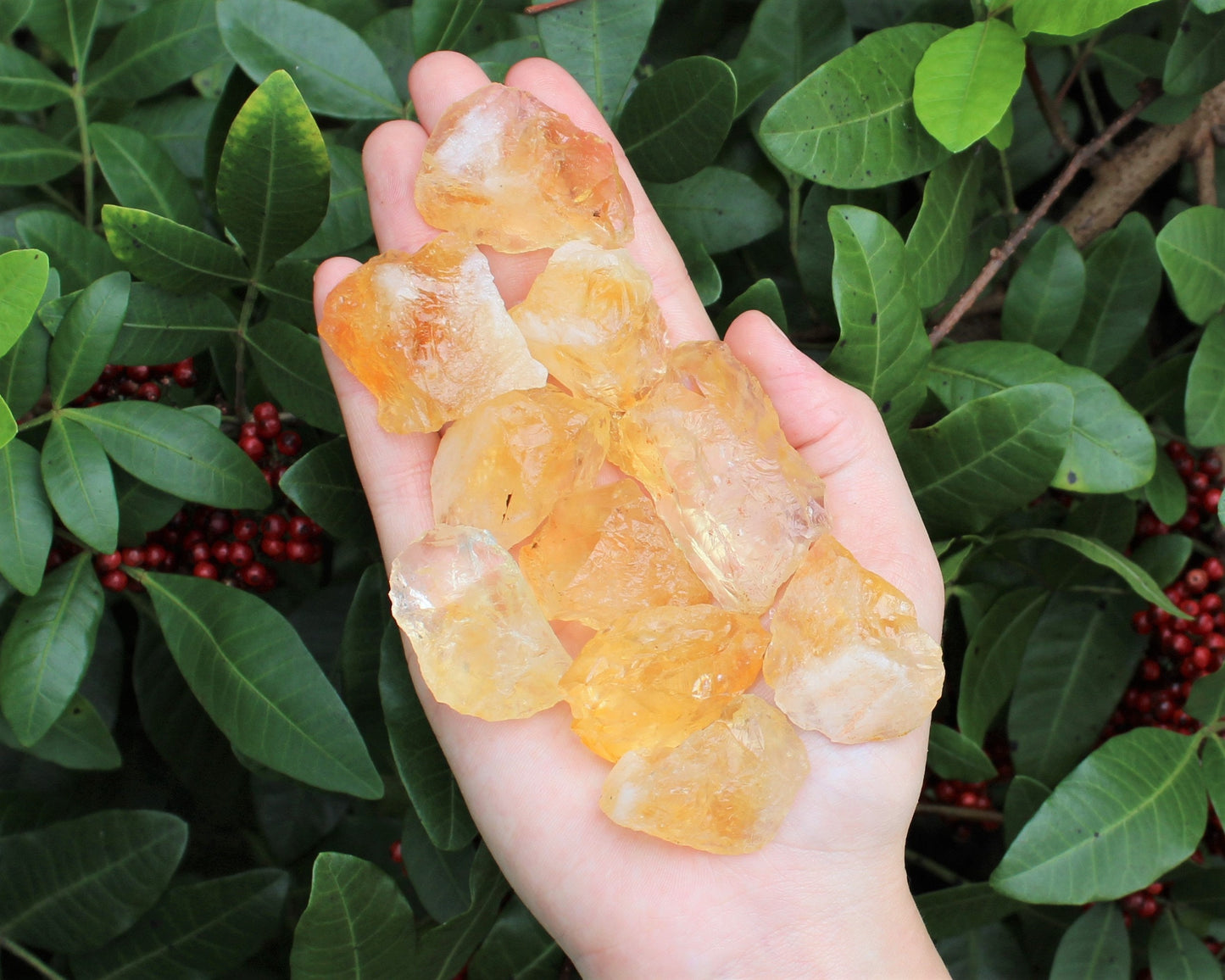 Rough Citrine Stones