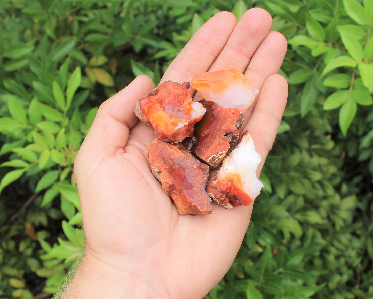 Rough Natural Carnelian Stones