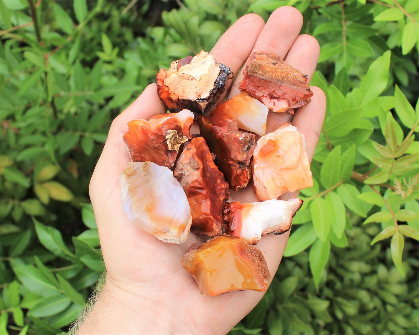 Rough Natural Carnelian Stones