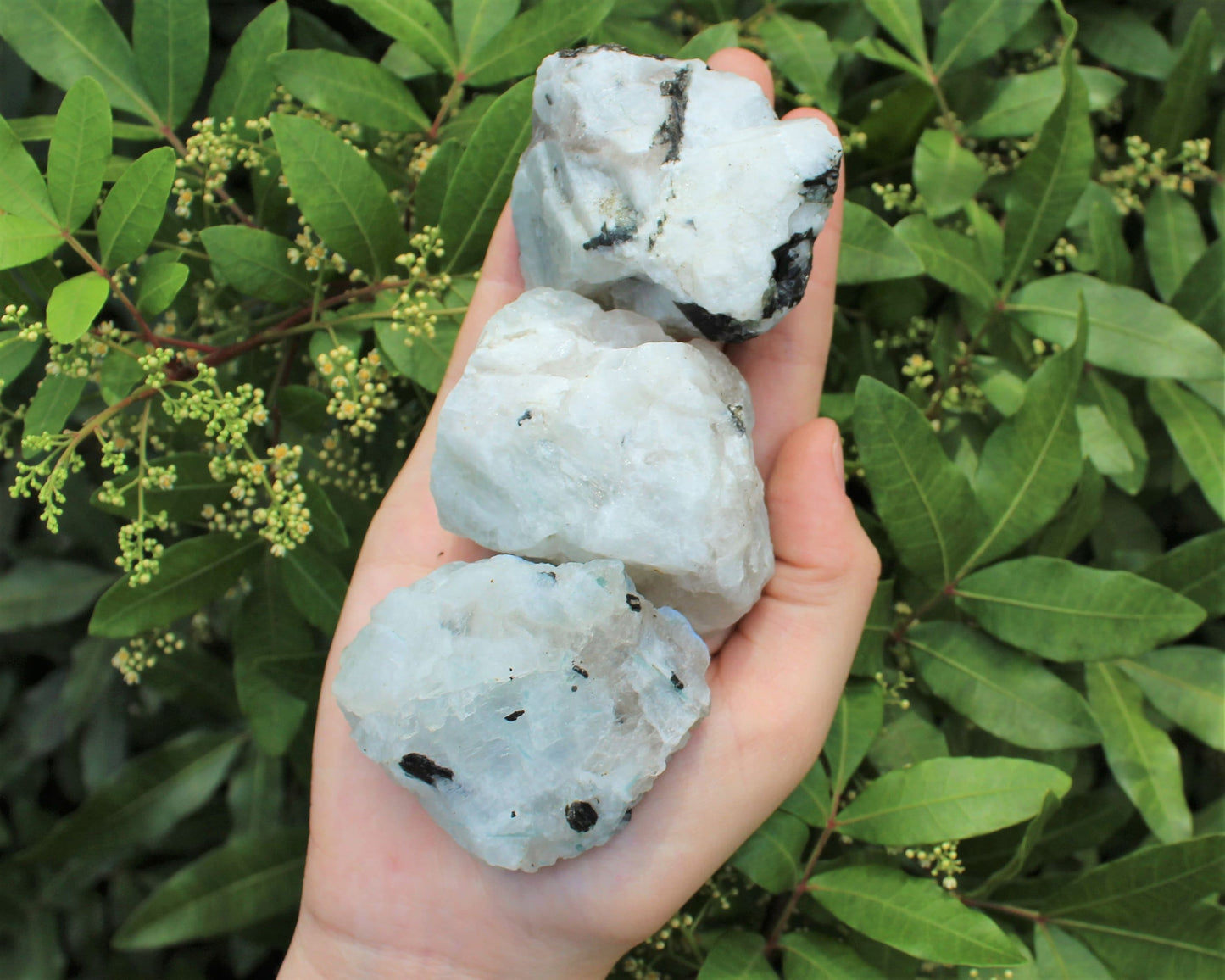 Rough Rainbow Moonstone Chunks