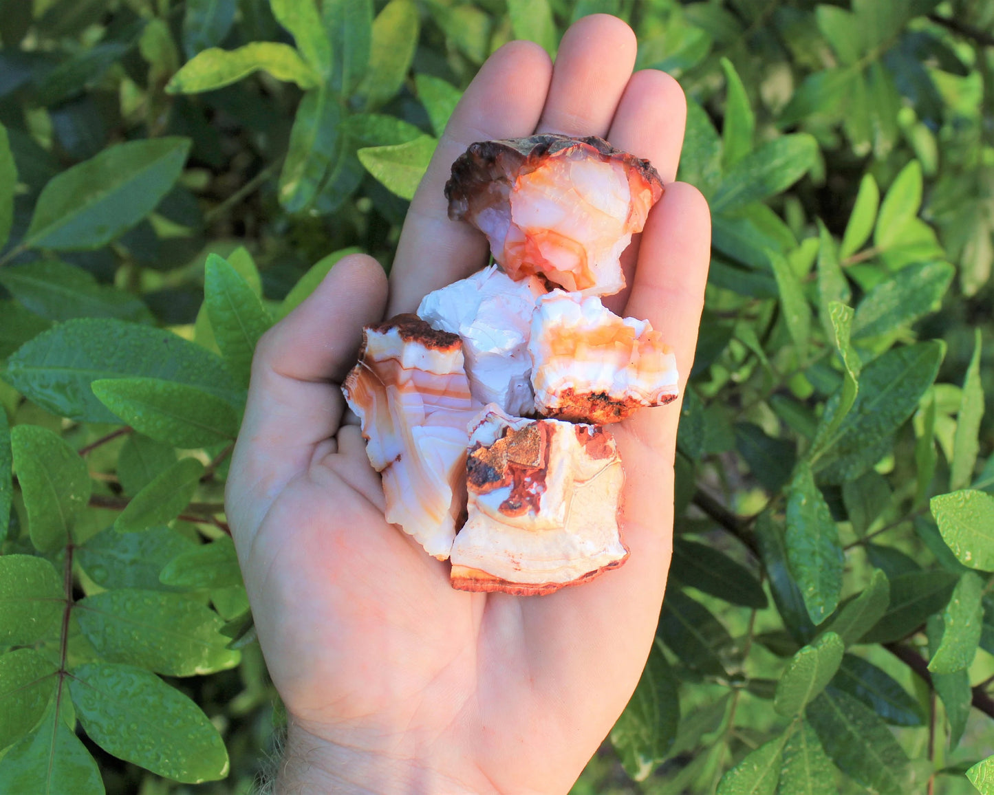 Rough Carnelian Stones