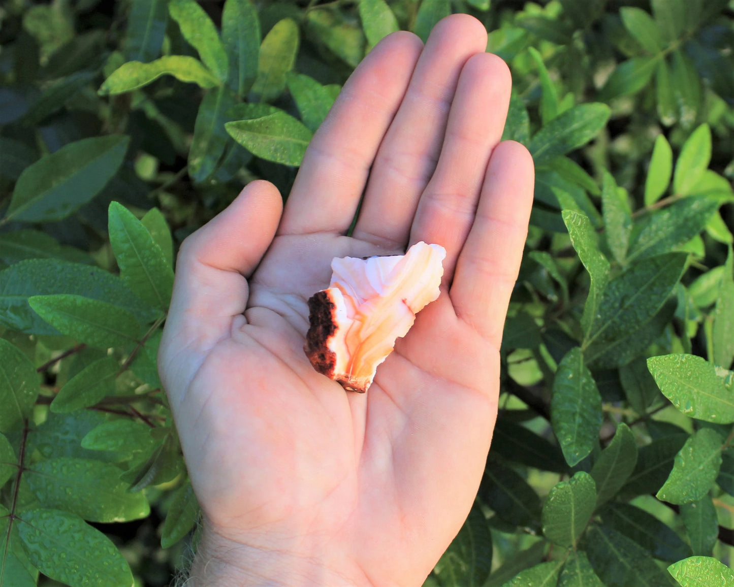 Rough Carnelian Stones