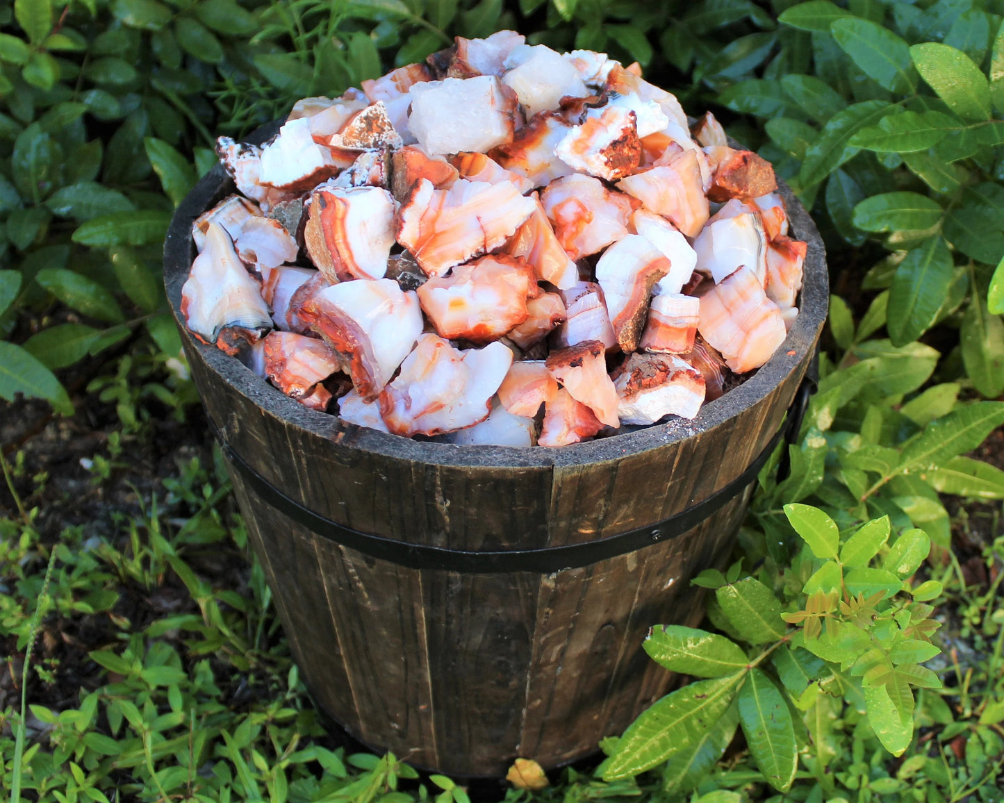 Rough Carnelian Stones