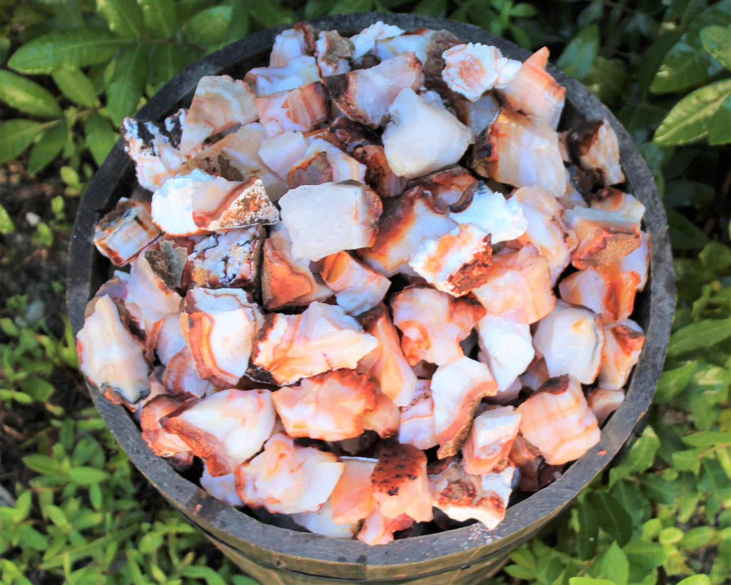 Rough Carnelian Stones