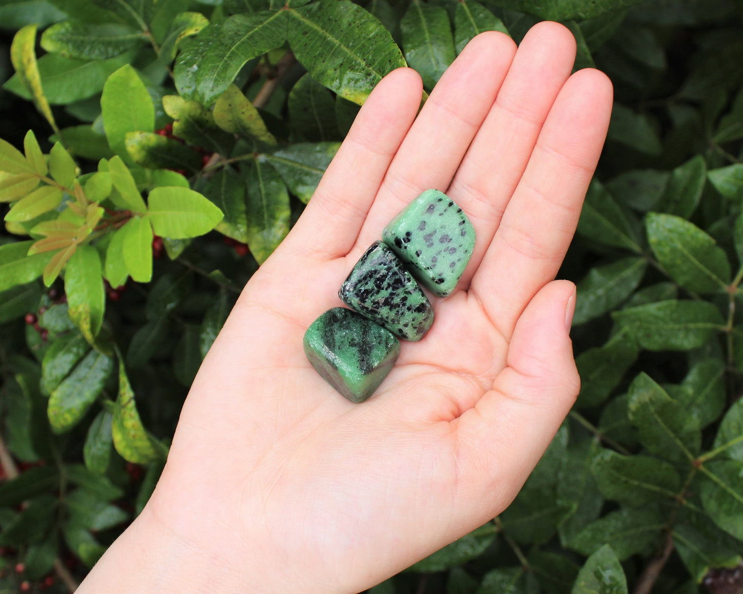 Ruby Zoisite Tumbled Stones