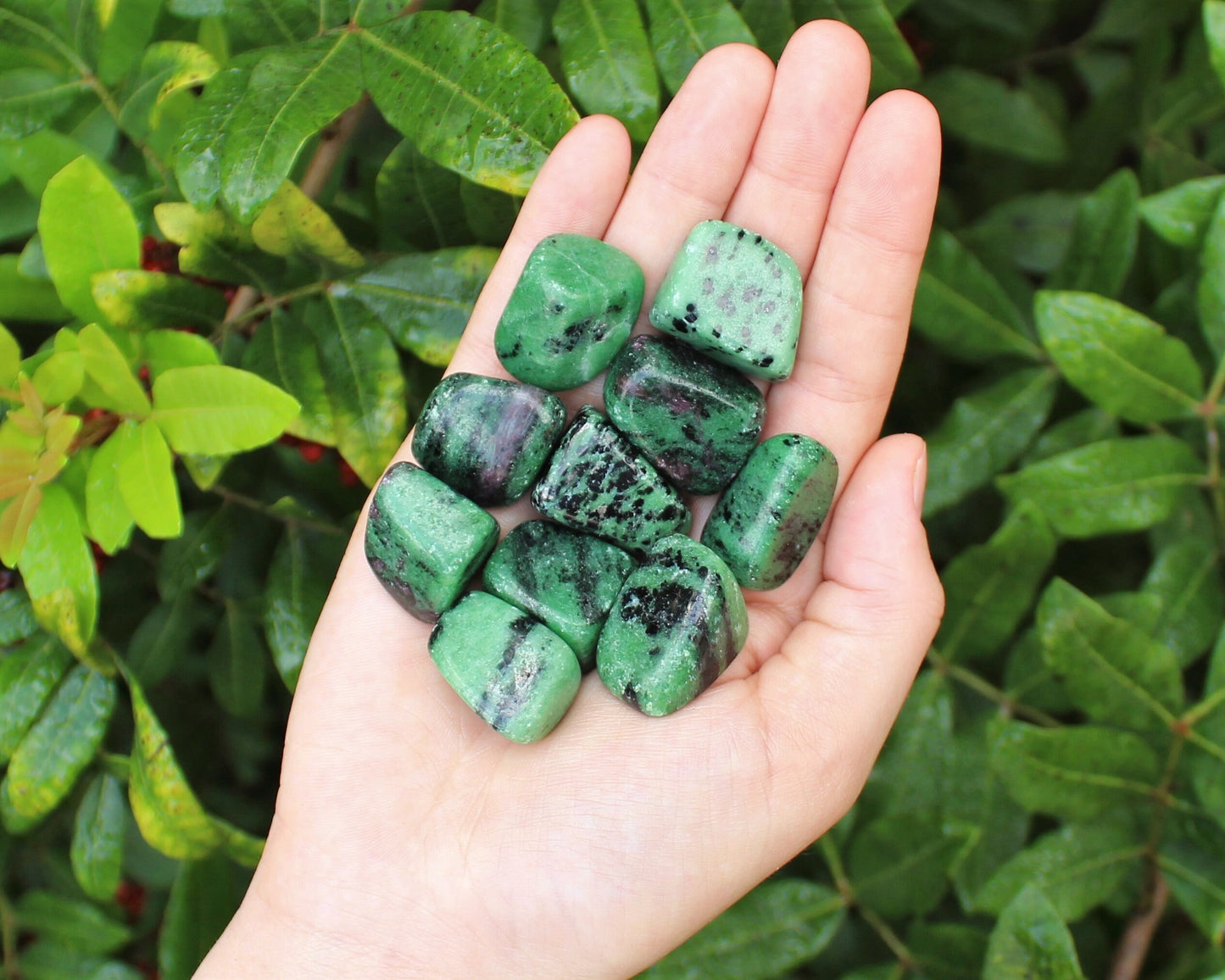 Ruby Zoisite Tumbled Stones