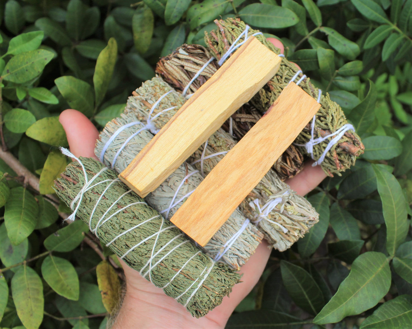 Sage Bundle Smudge Kit