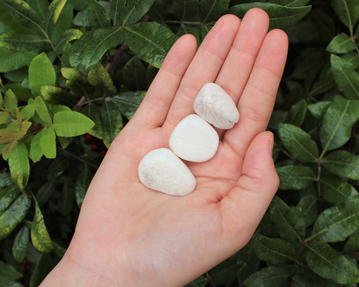 Scolecite Tumbled Stones