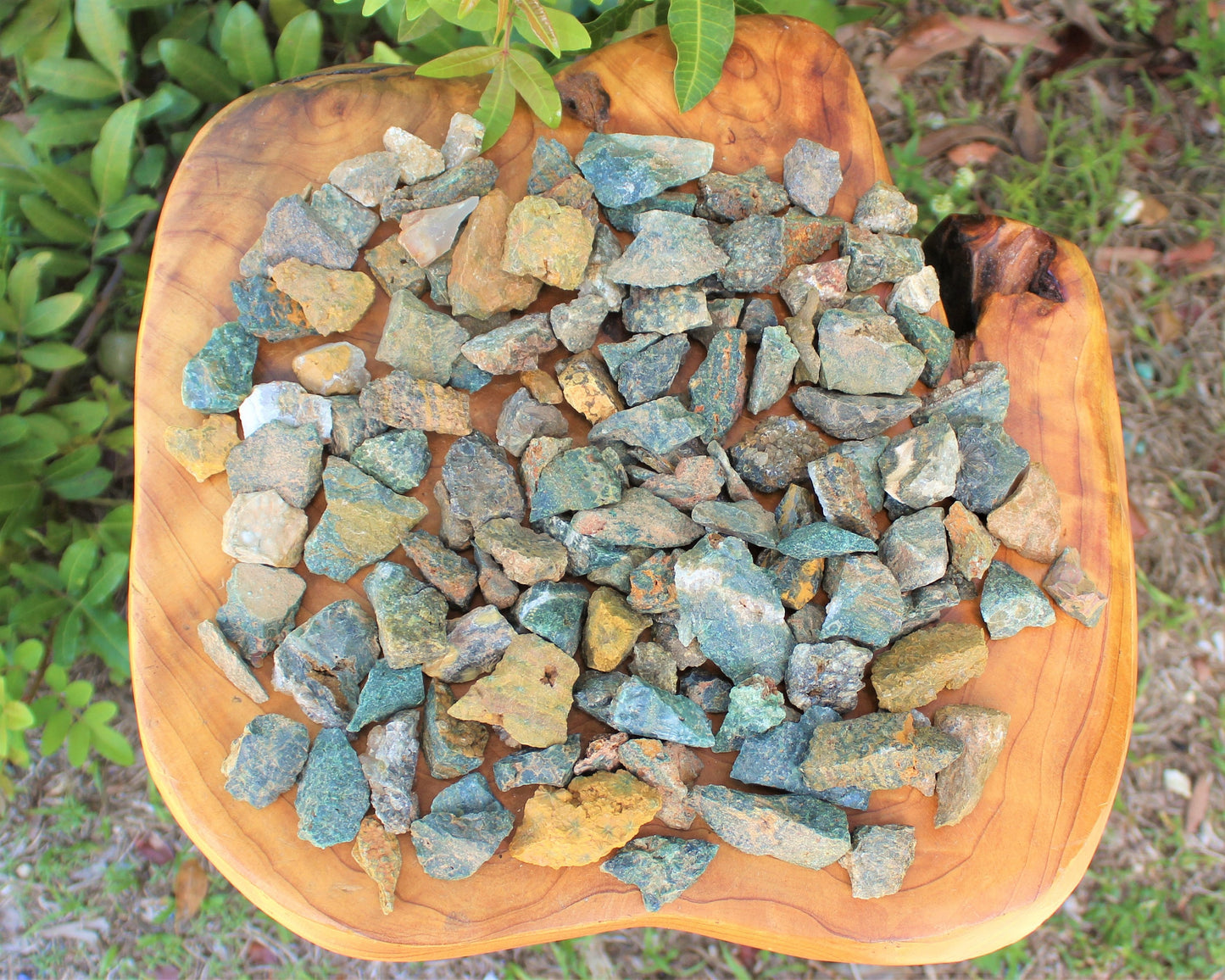 Sea Jasper Rough Natural Chips