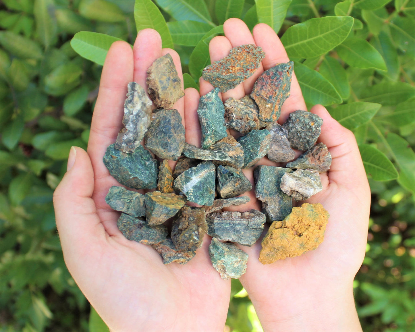 Sea Jasper Rough Natural Chips