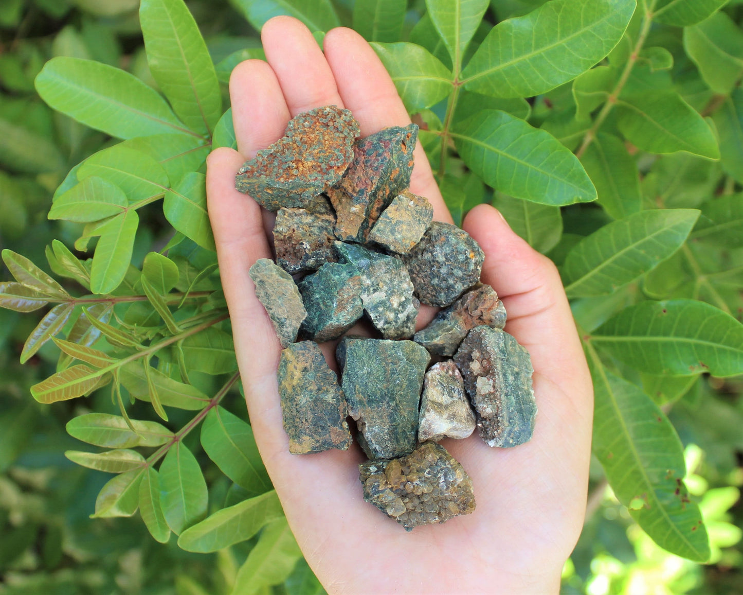 Sea Jasper Rough Natural Chips