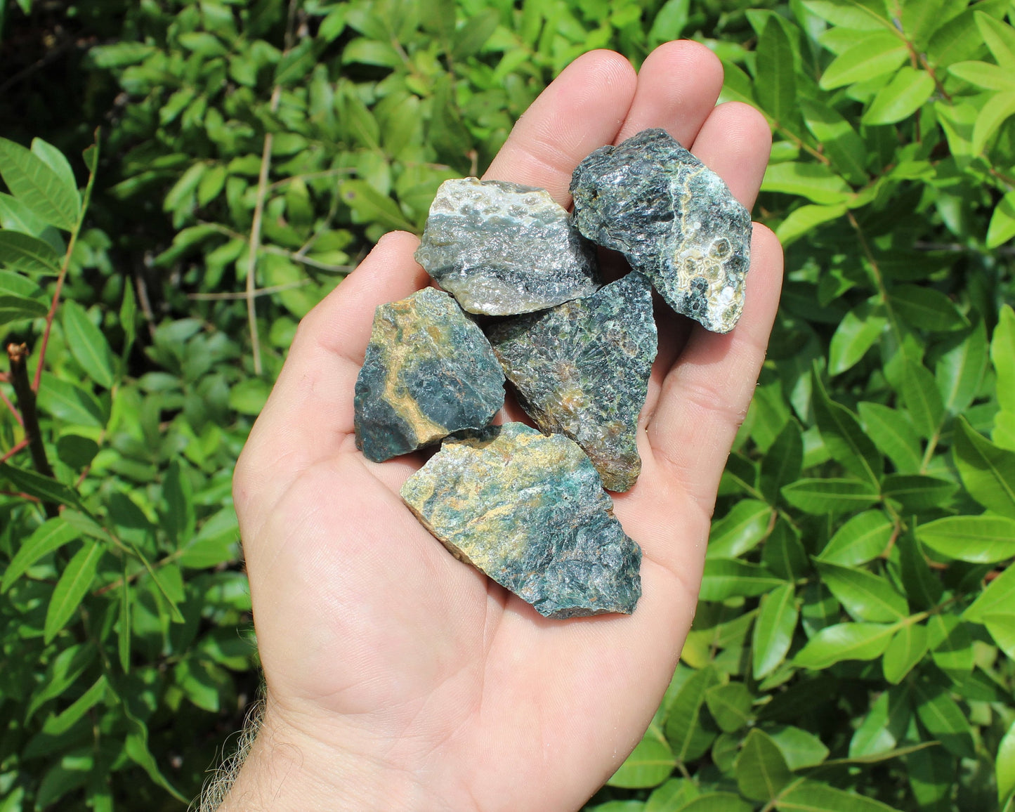 Sea Jasper Rough Natural Stones