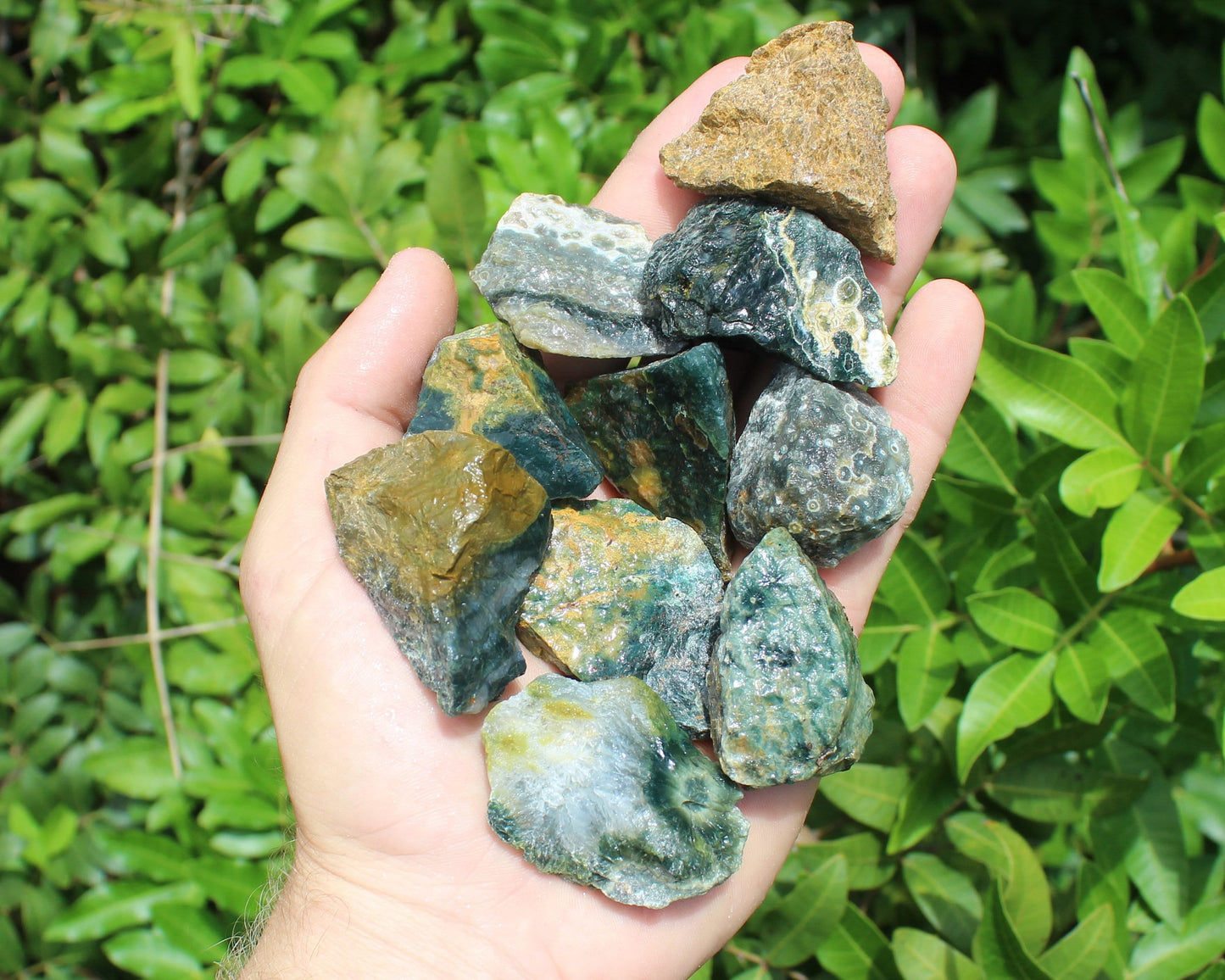 Sea Jasper Rough Natural Stones