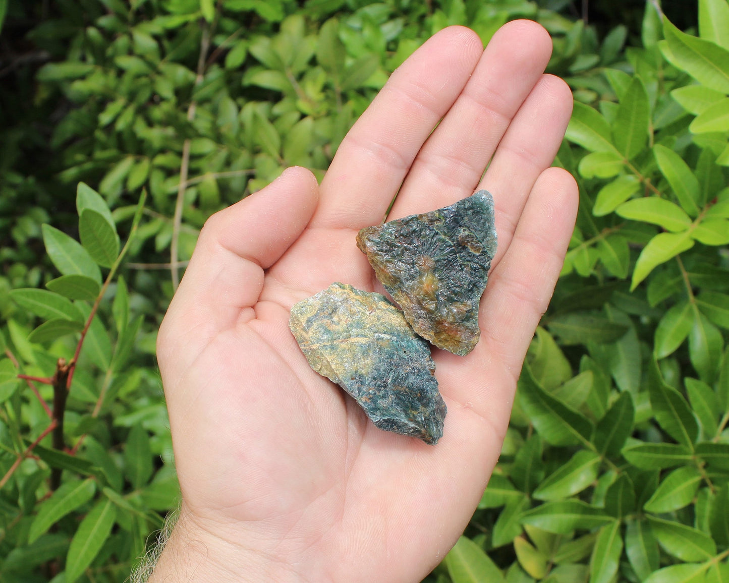 Sea Jasper Rough Natural Stones