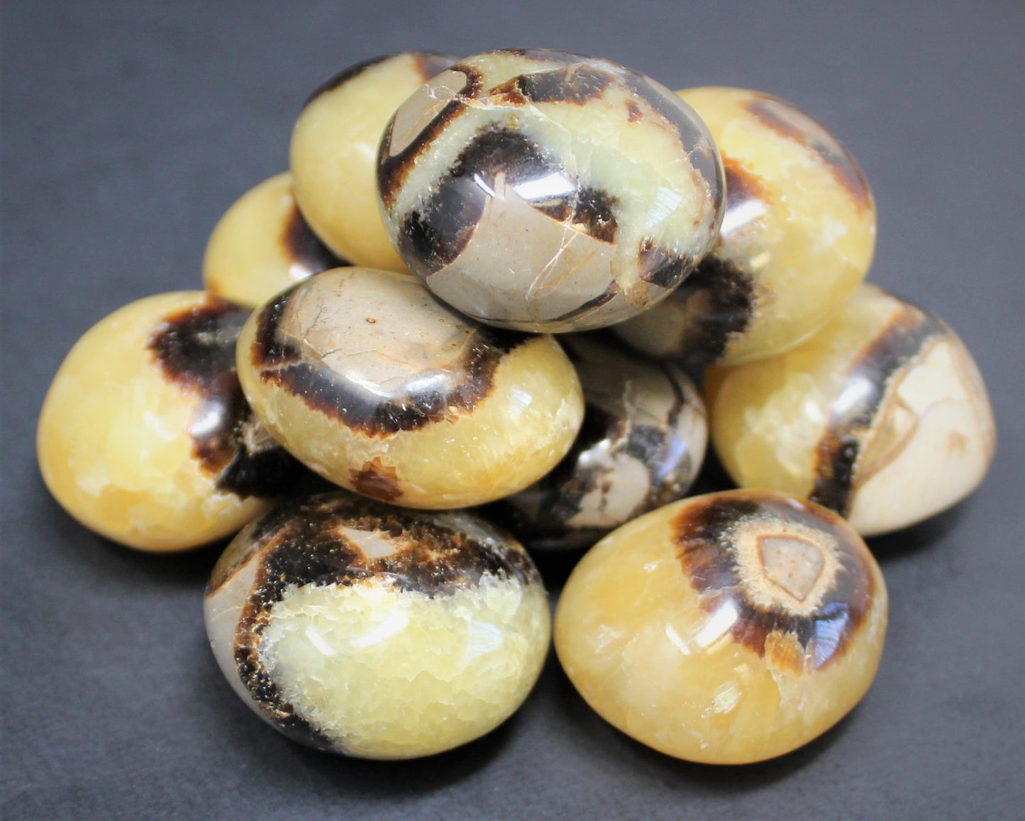 Septarian Polished Stones