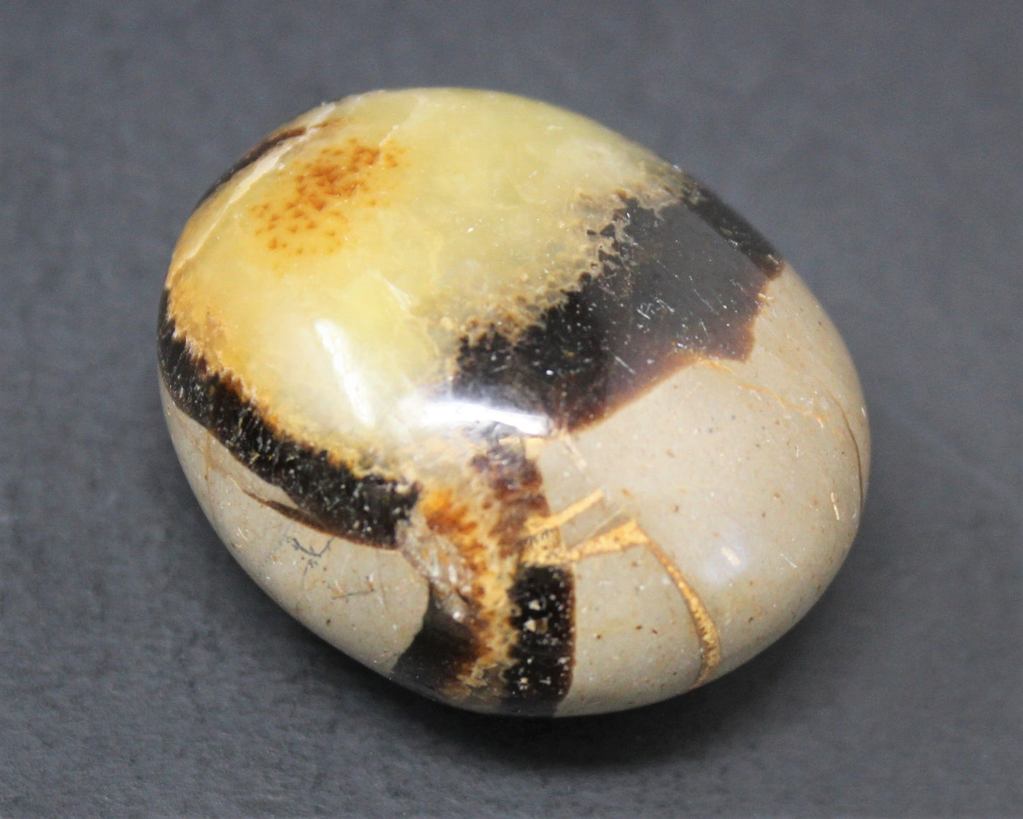 Septarian Polished Stones