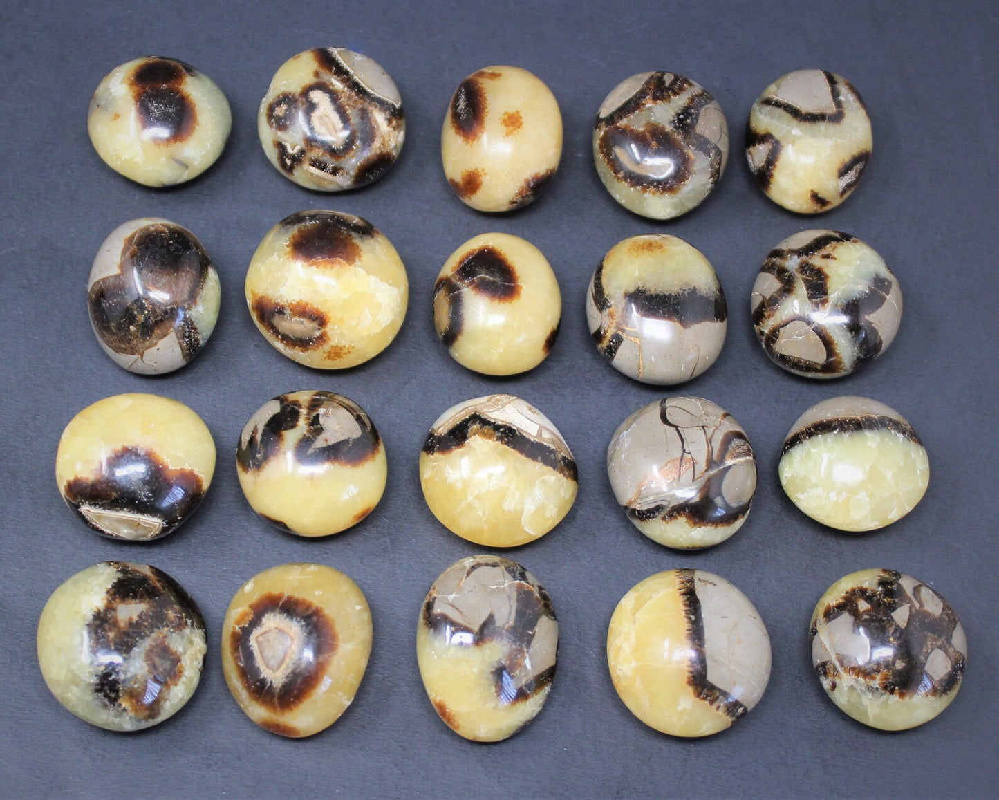 Septarian Polished Stones