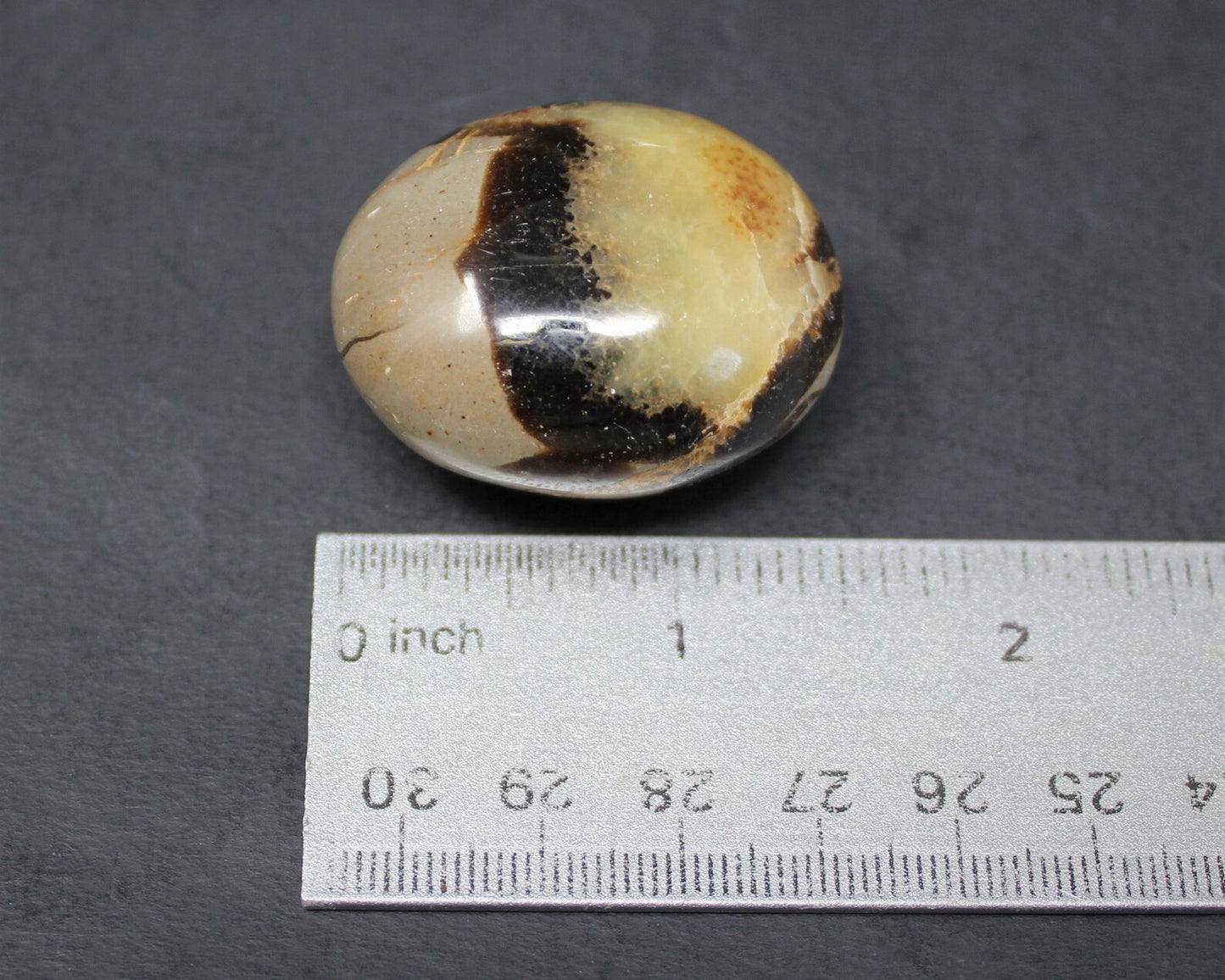 Septarian Polished Stones
