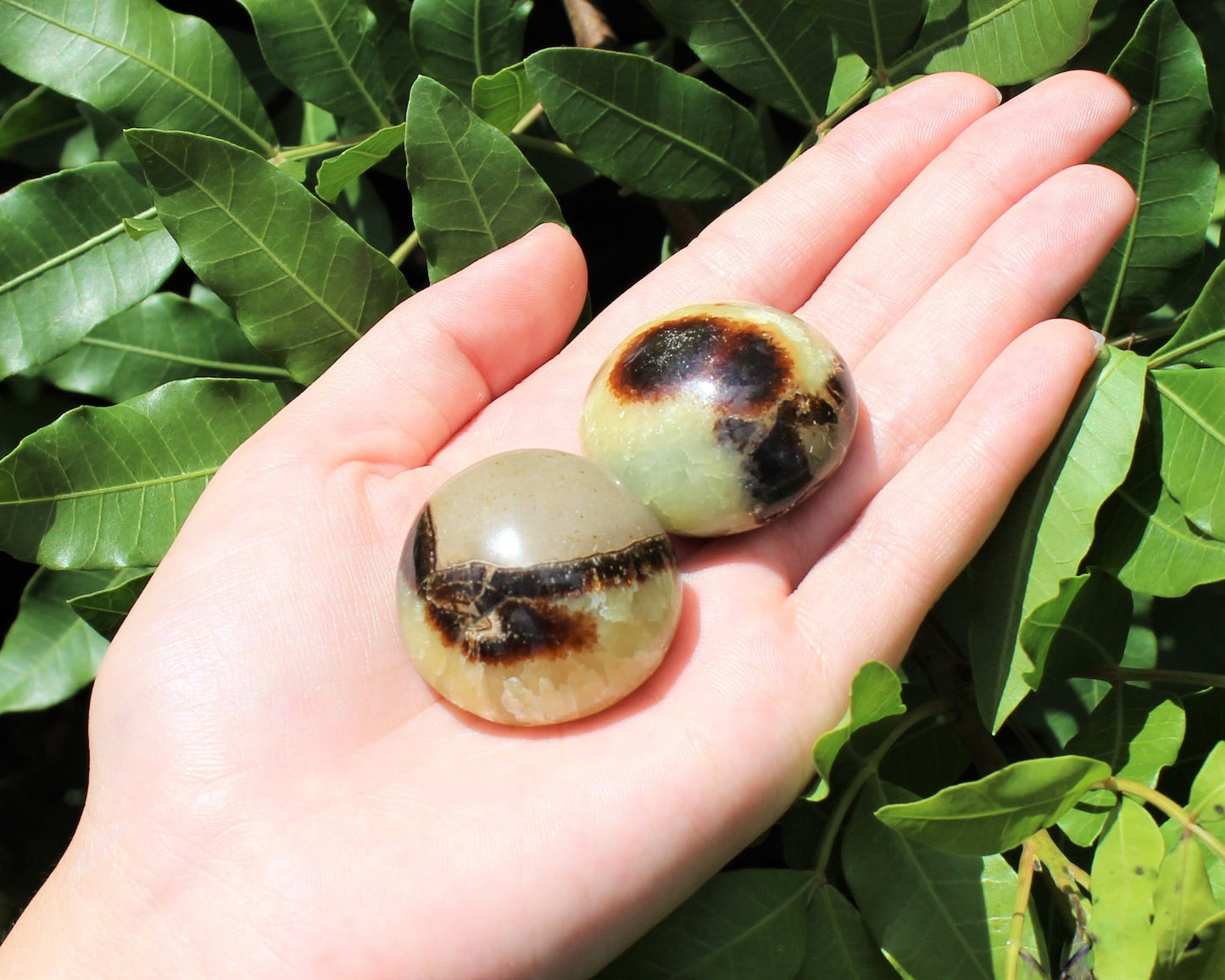 Septarian Polished Stones