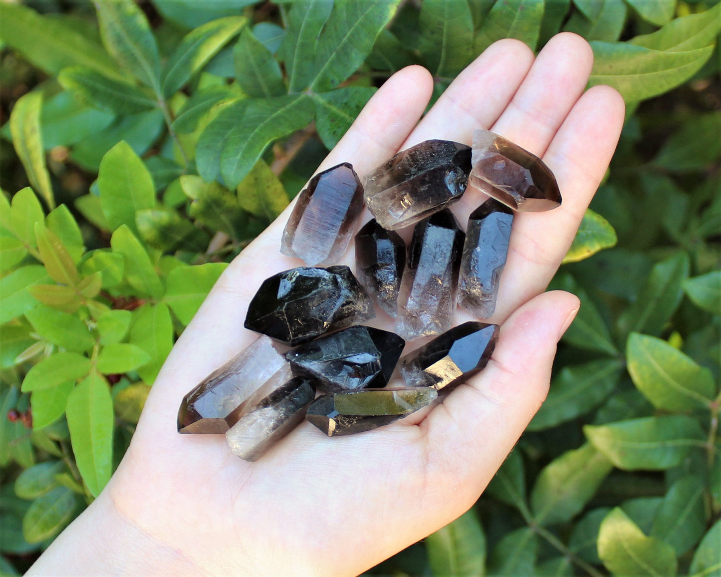 Smoky Quartz Points Crystal