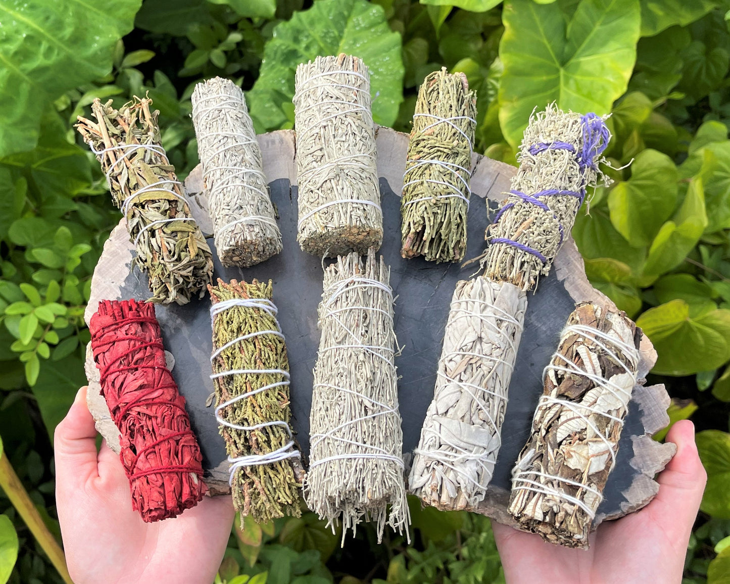 Smudge 10 Stick Sampler Kit