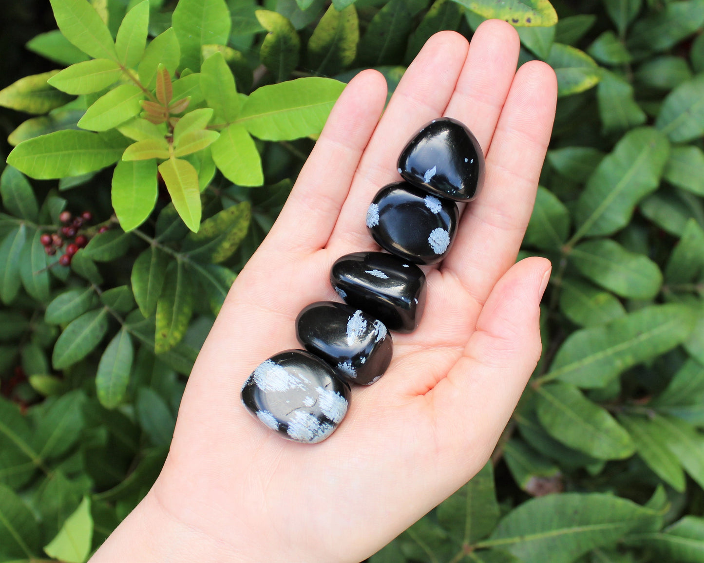 Snowflake Obsidian Tumbled Stone