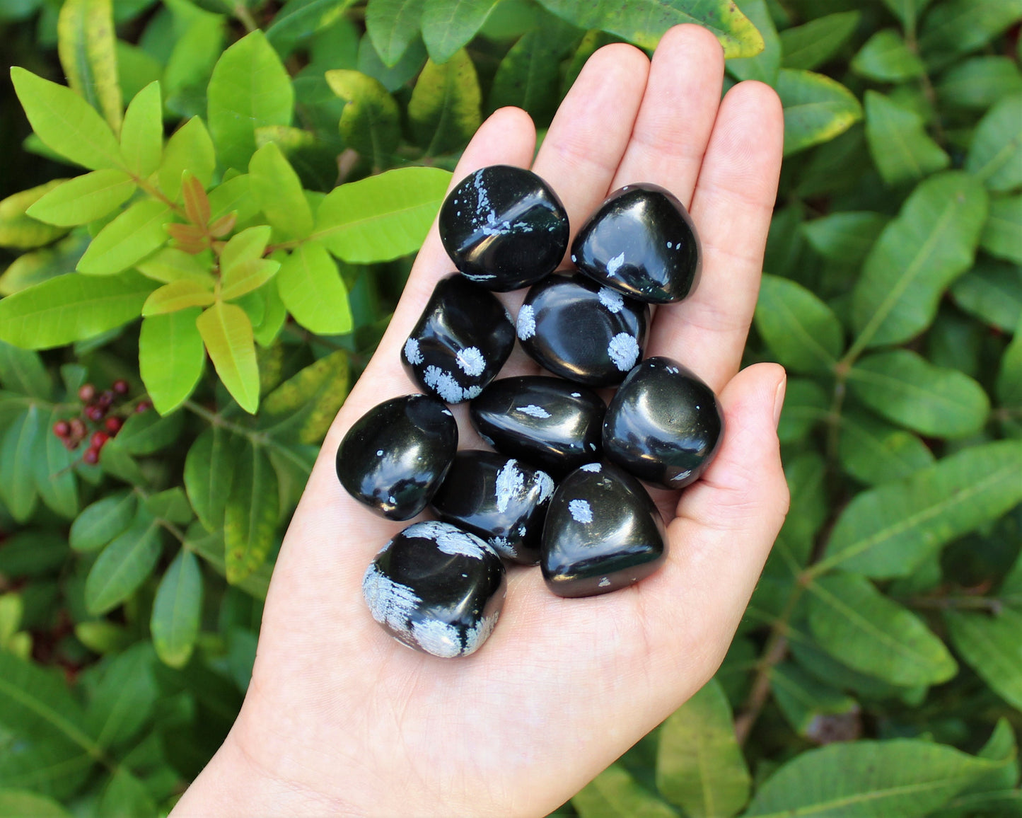 Snowflake Obsidian Tumbled Stones