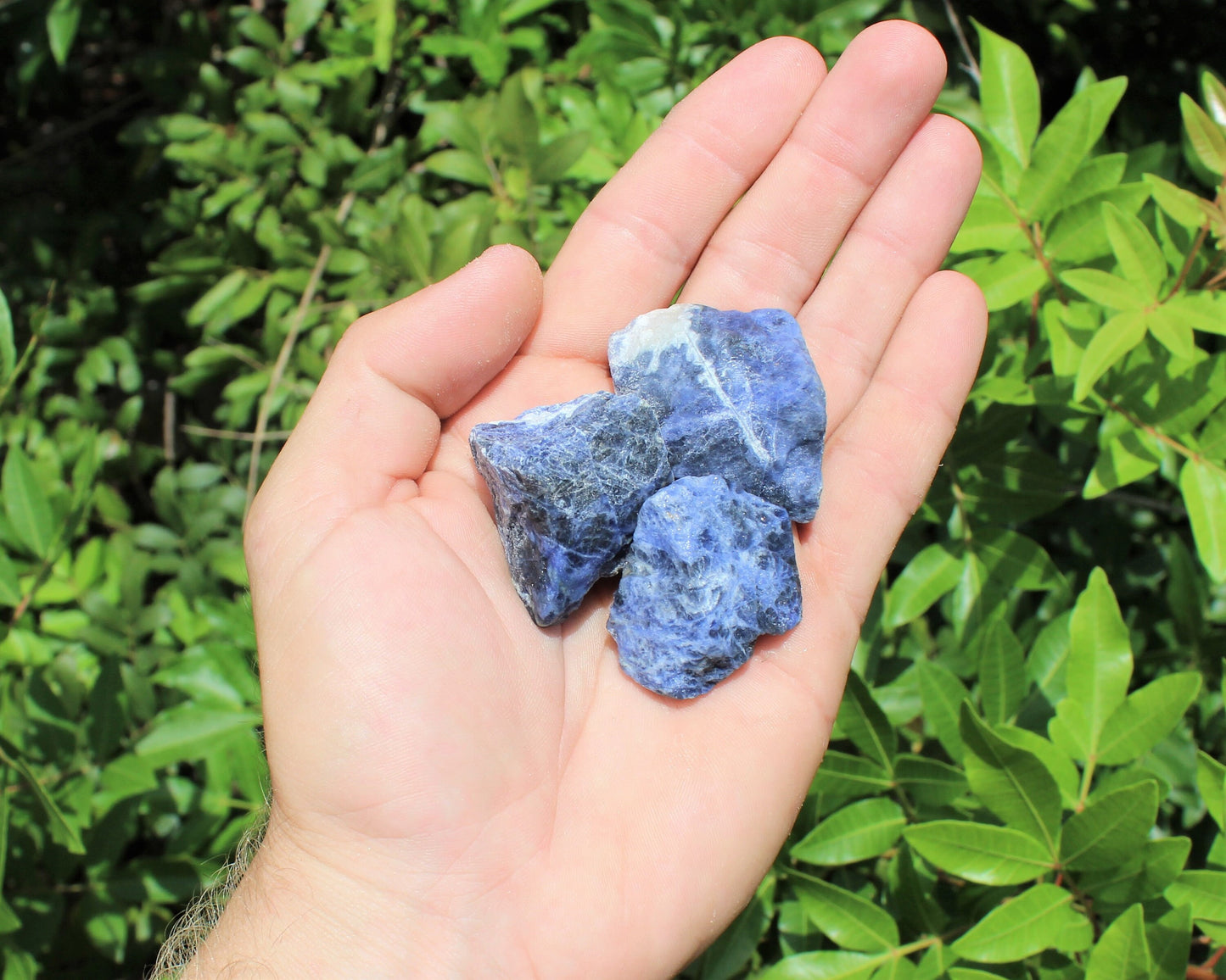 Sodalite Rough Natural Stones
