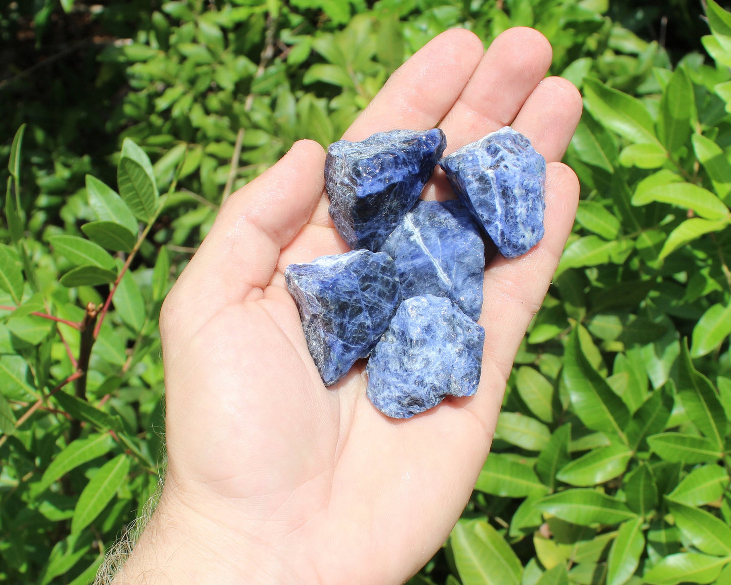 Sodalite Rough Natural Stones